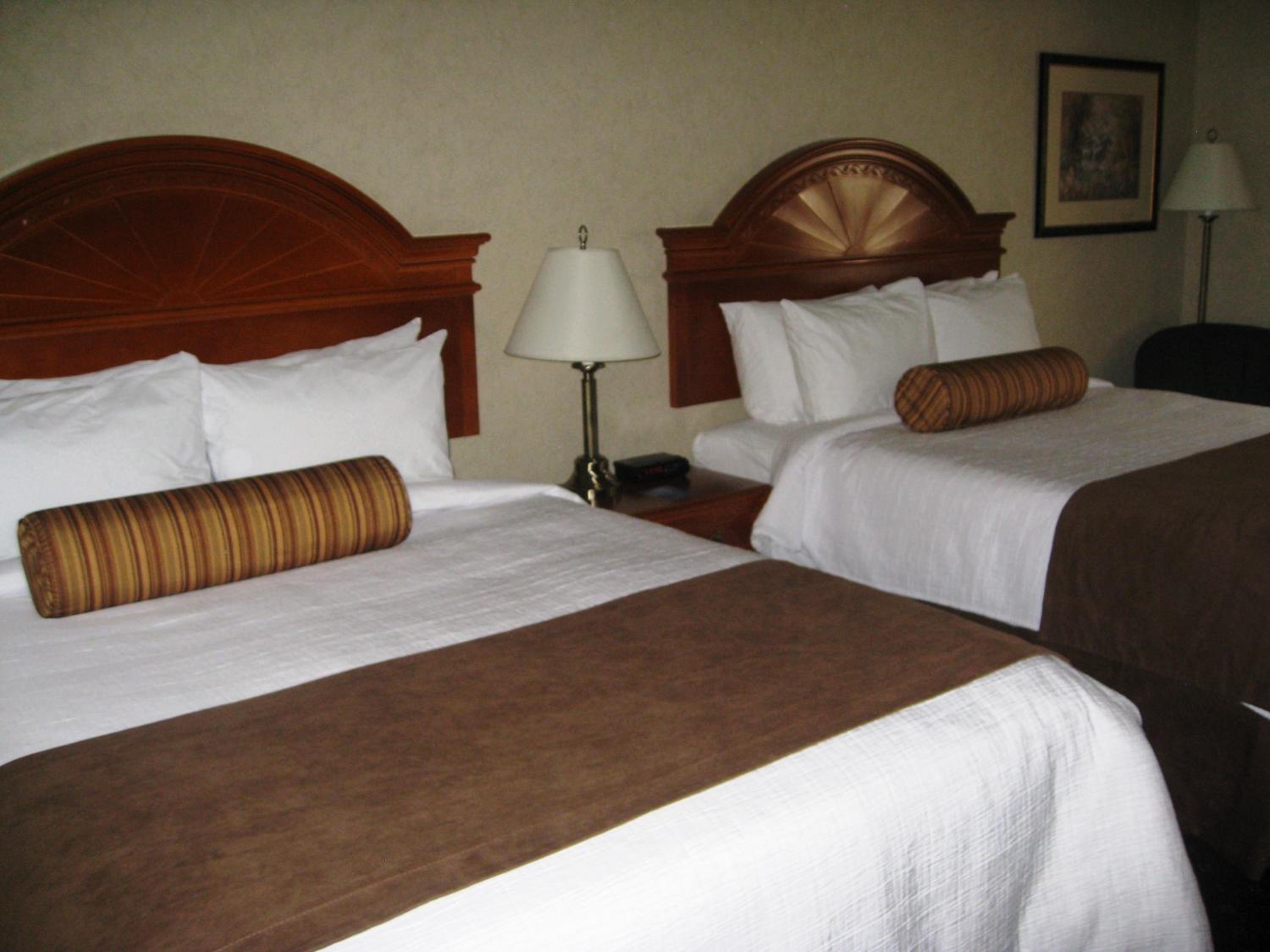 Deluxe Queen Studio Suite - Non-Smoking - Photo 4