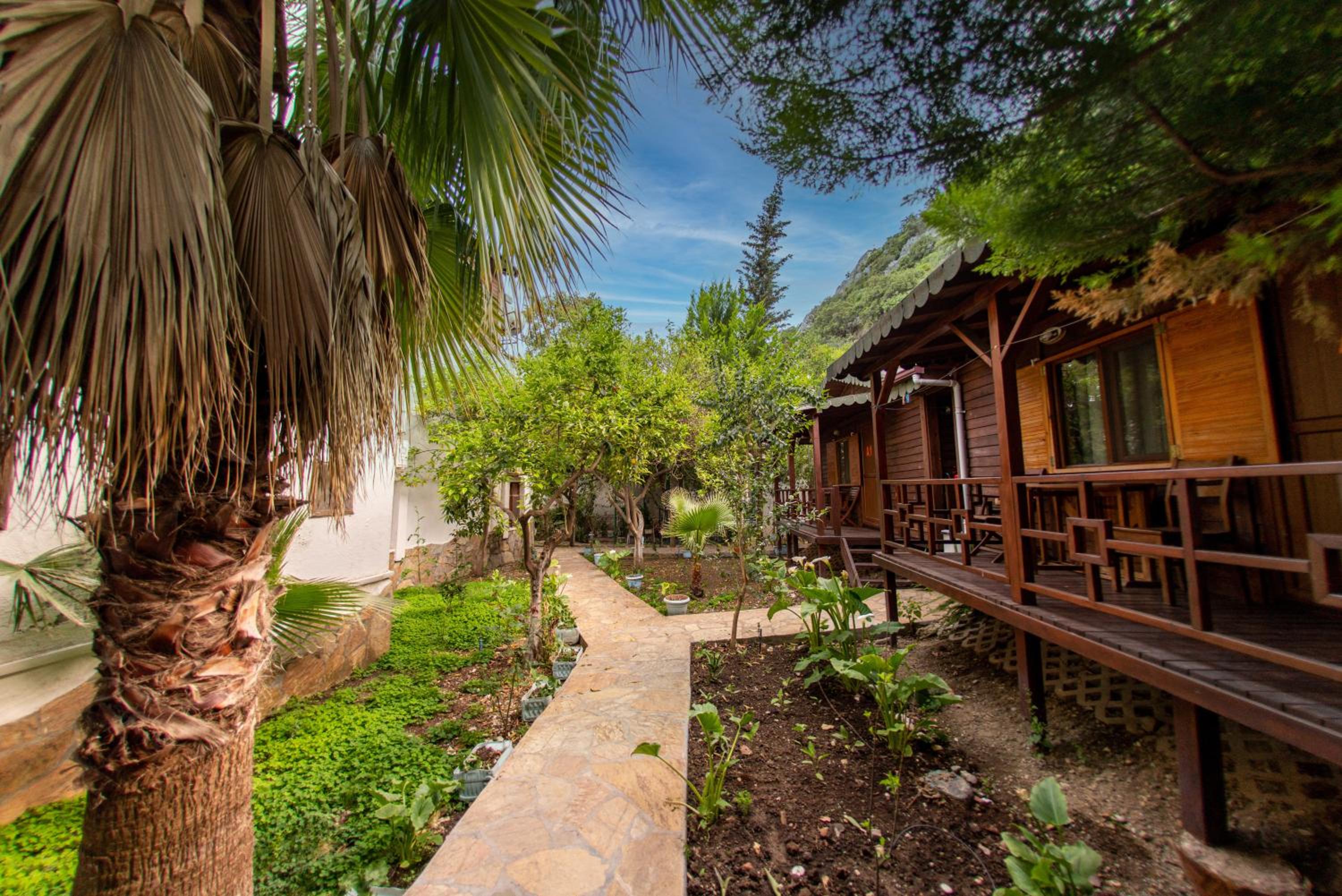 Family Bungalow - Photo 14