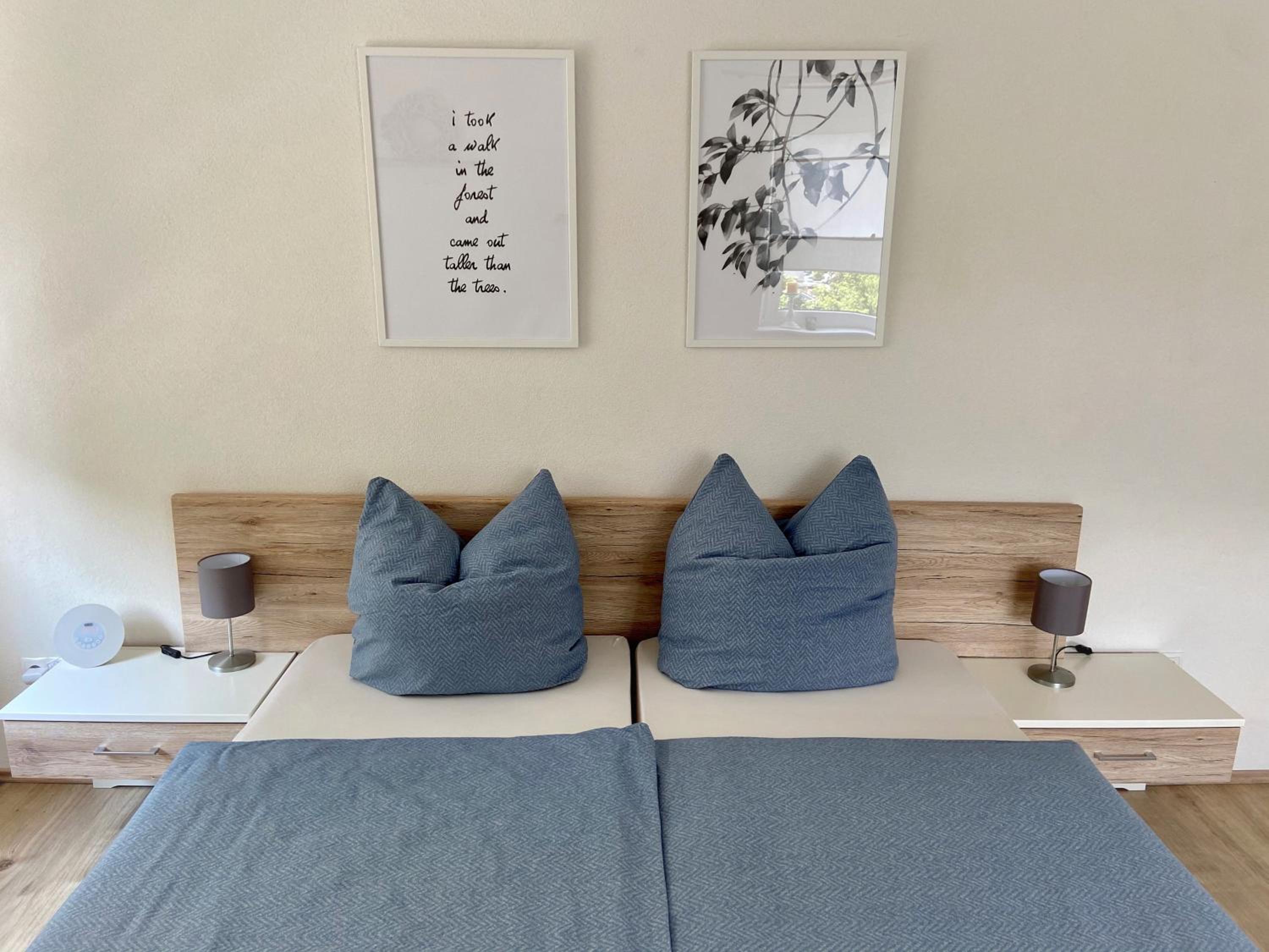 One-Bedroom Apartment photo 3