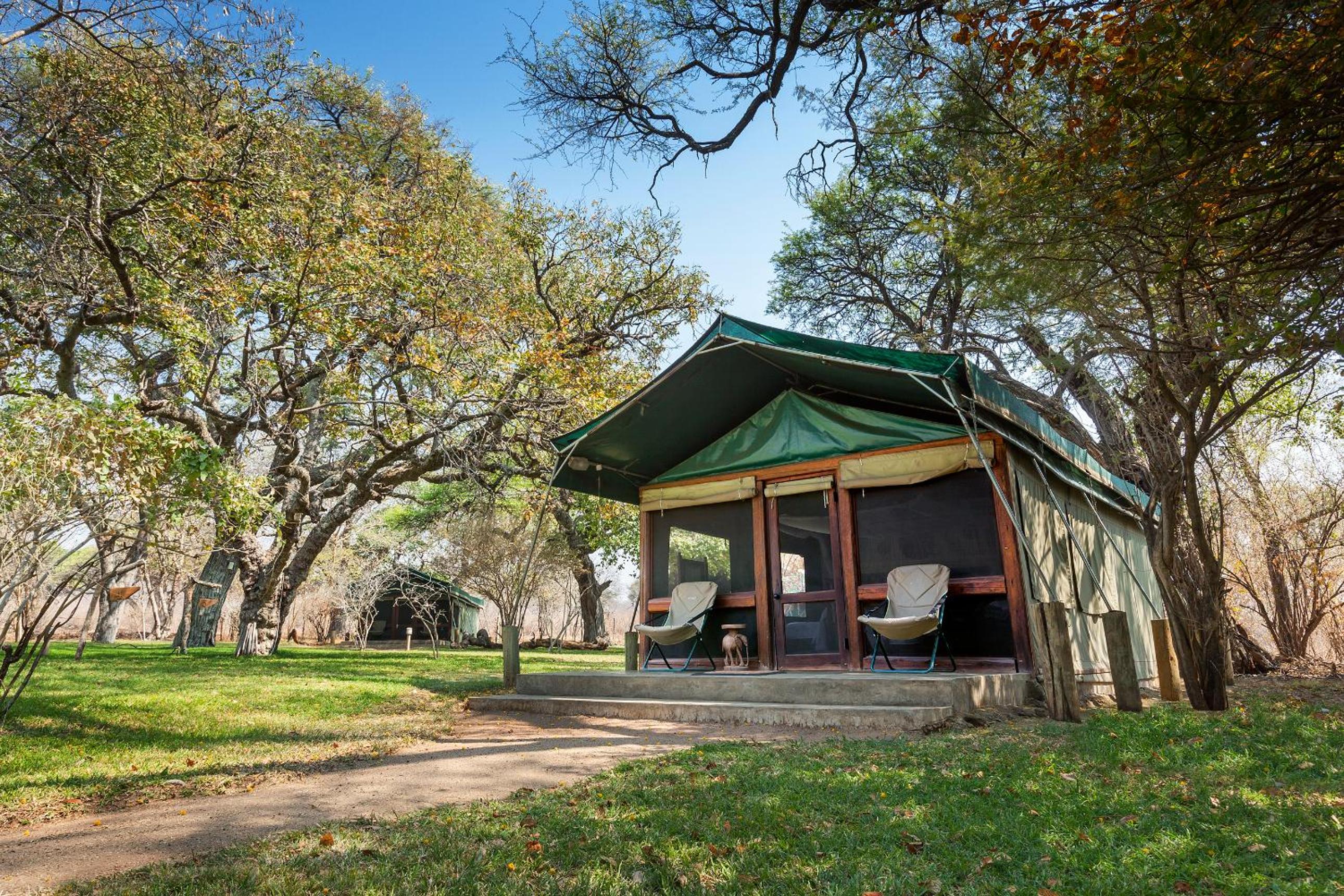 Tent with Forest View photo 2