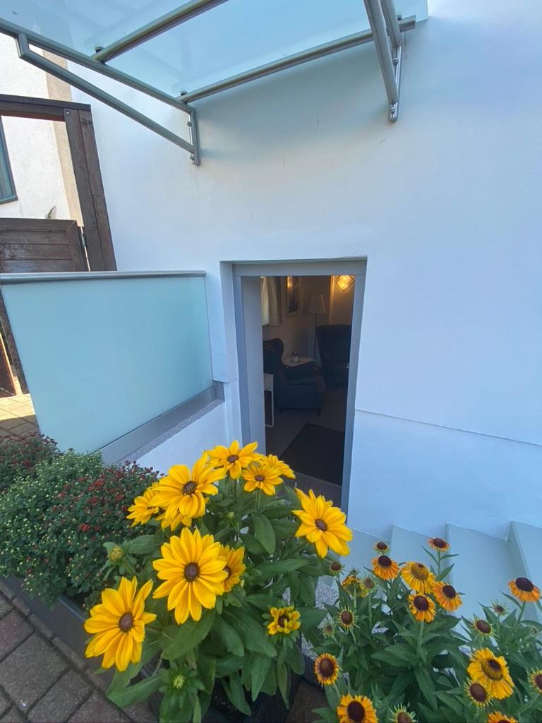 Souterrain Double Room  - Photo 11