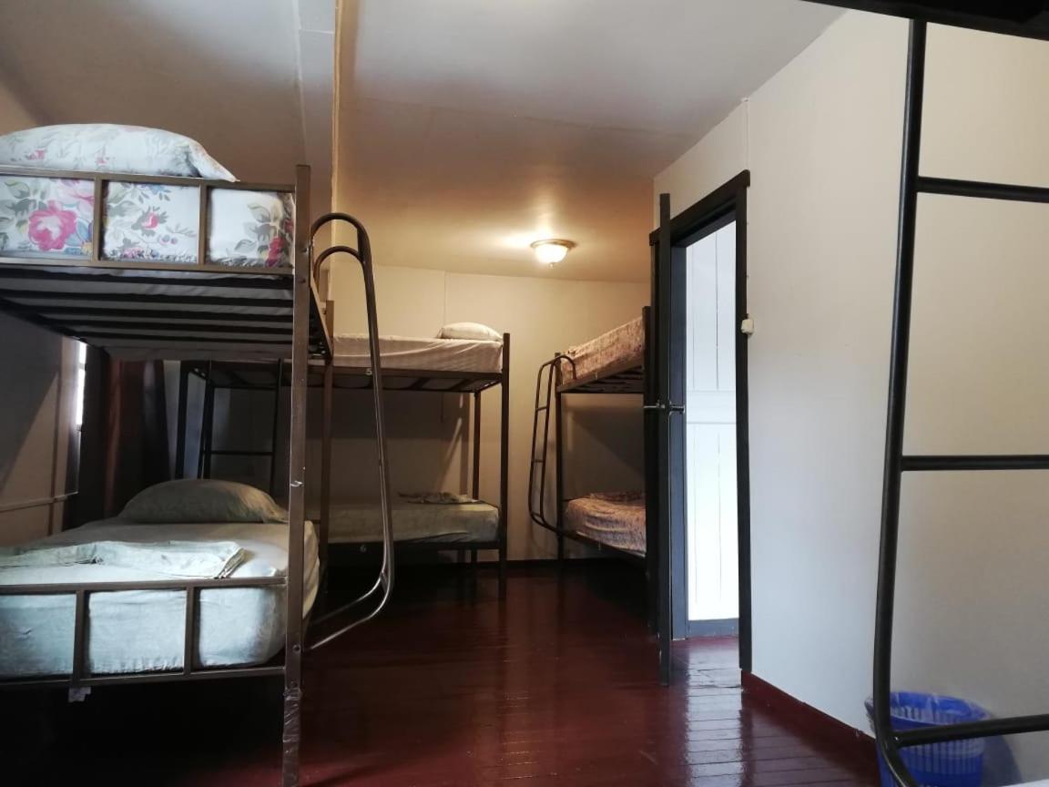 Bed in 8-Bed Mixed Dormitory Room photo 3