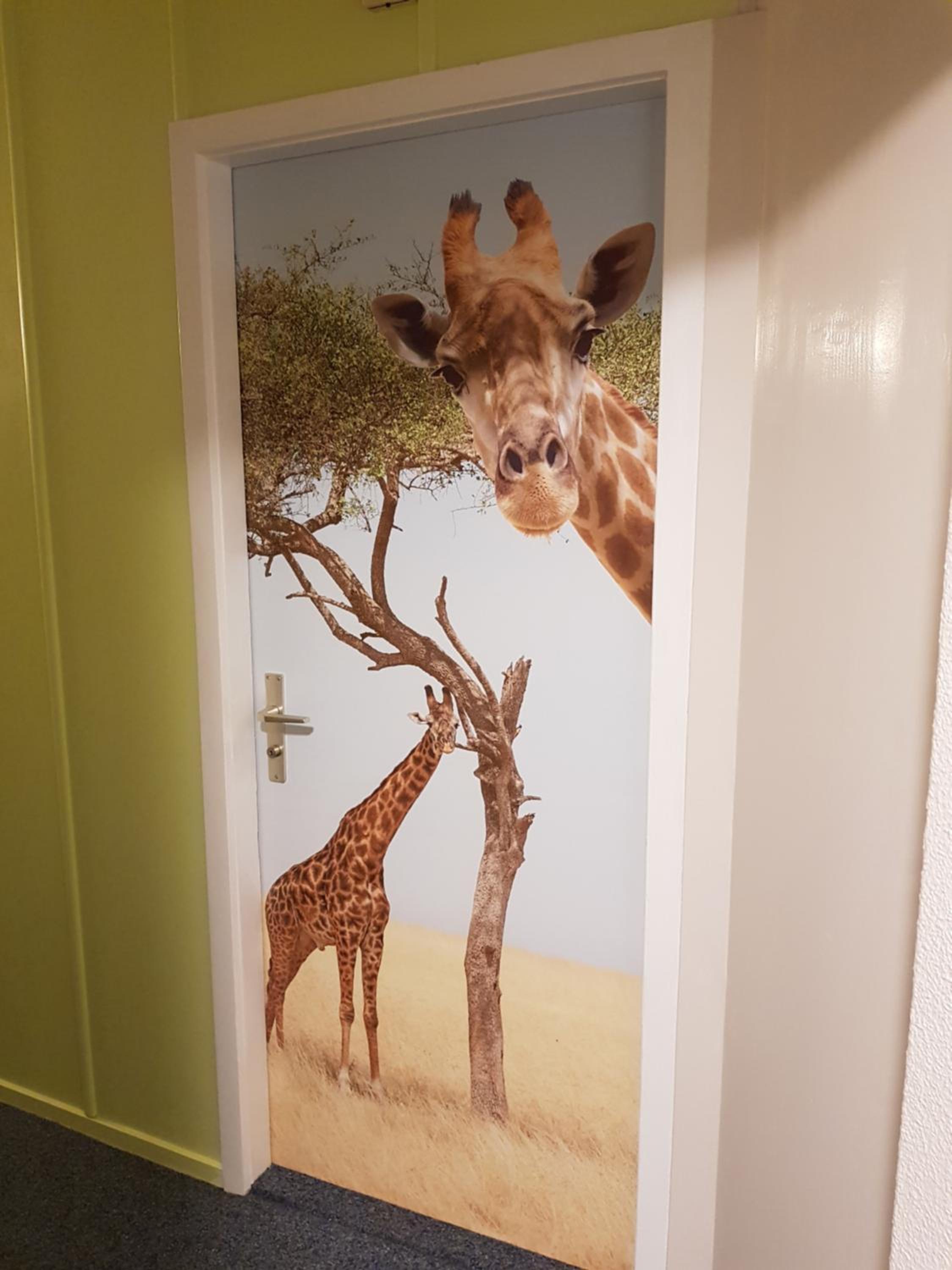 Single Room with Shared Shower and Toilet photo 2