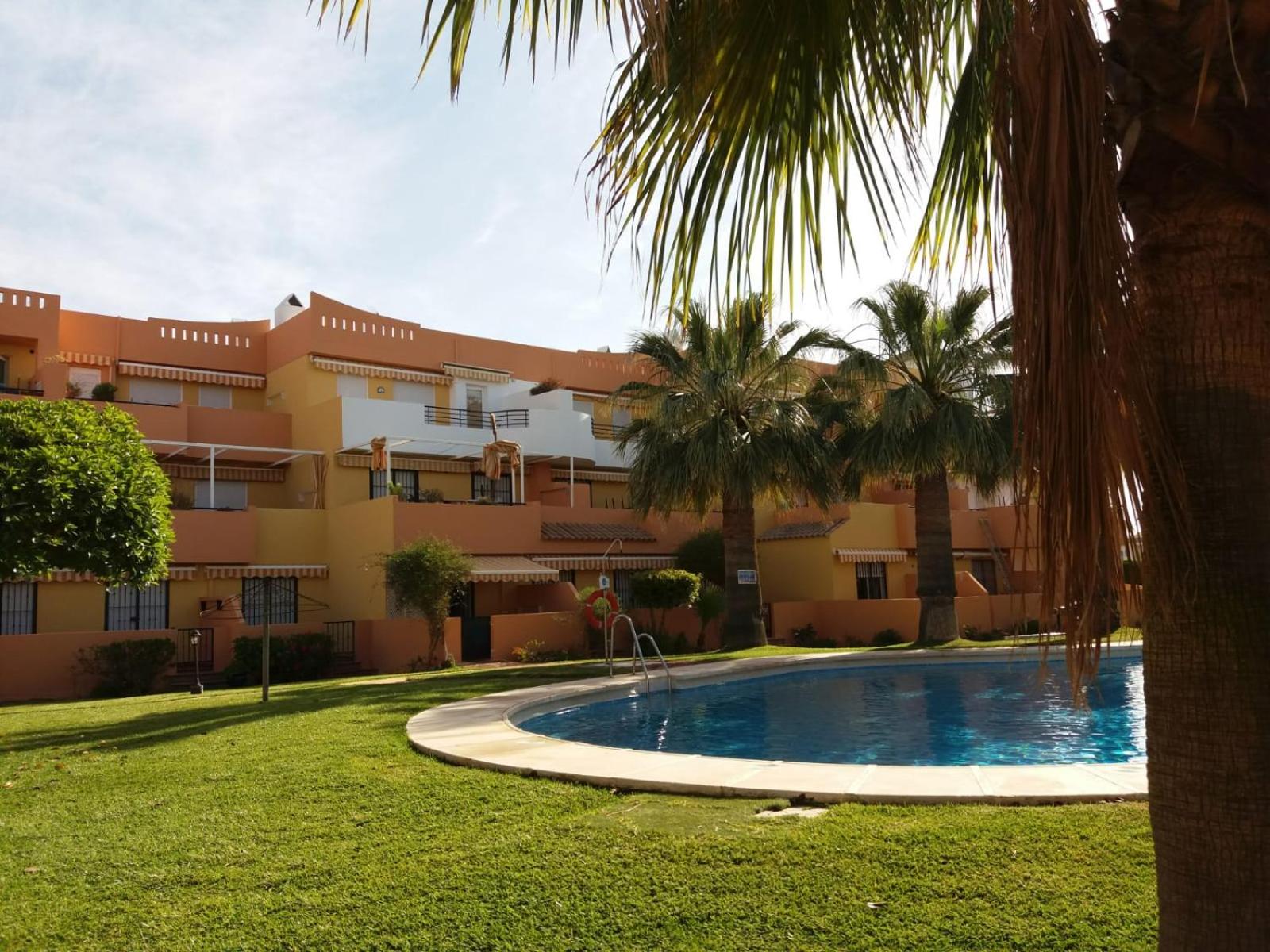 Apartment with Pool View photo 3