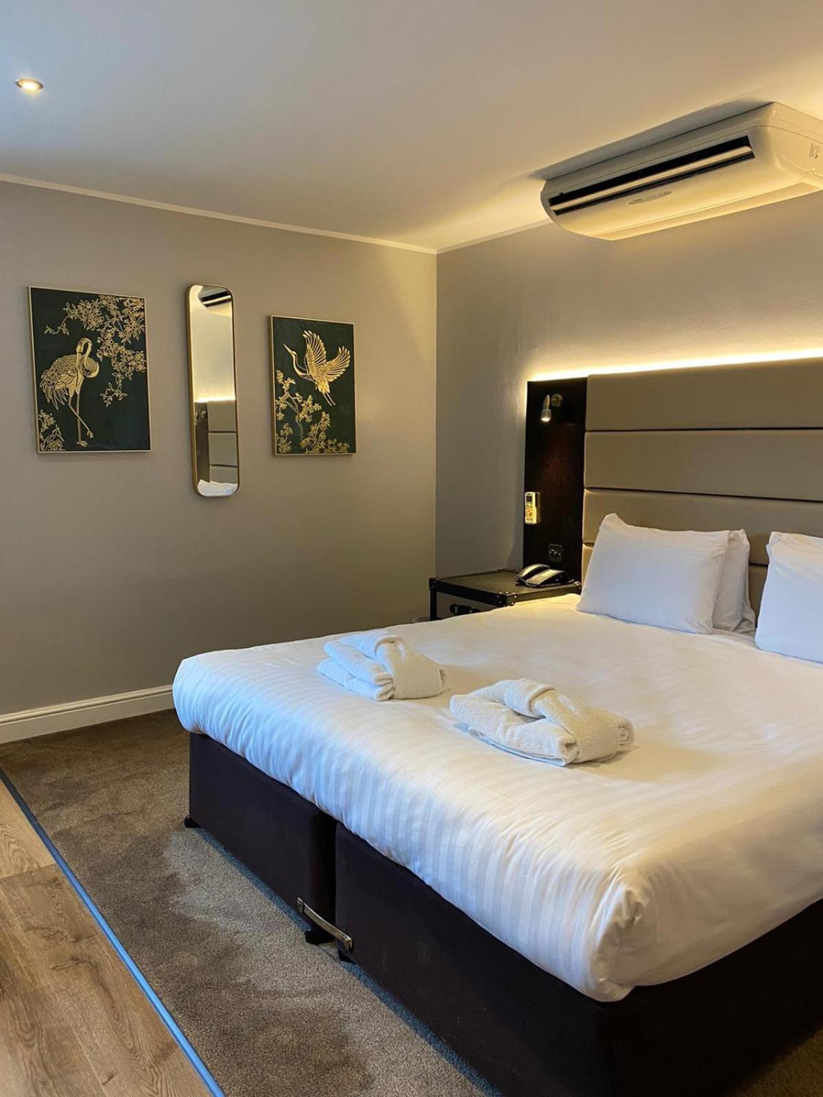 Executive Superior Room - Photo 4