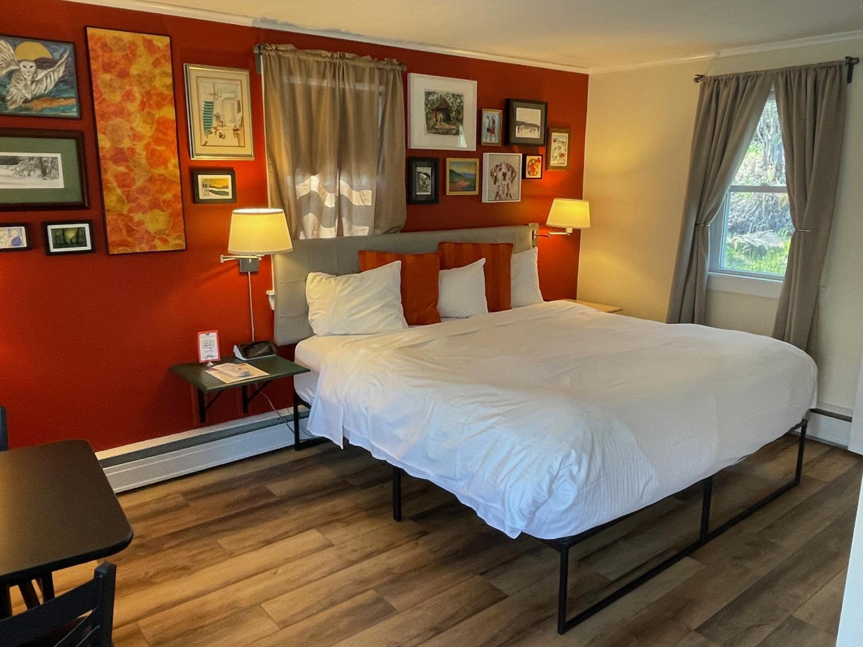 Dog-Friendly King Room photo 3