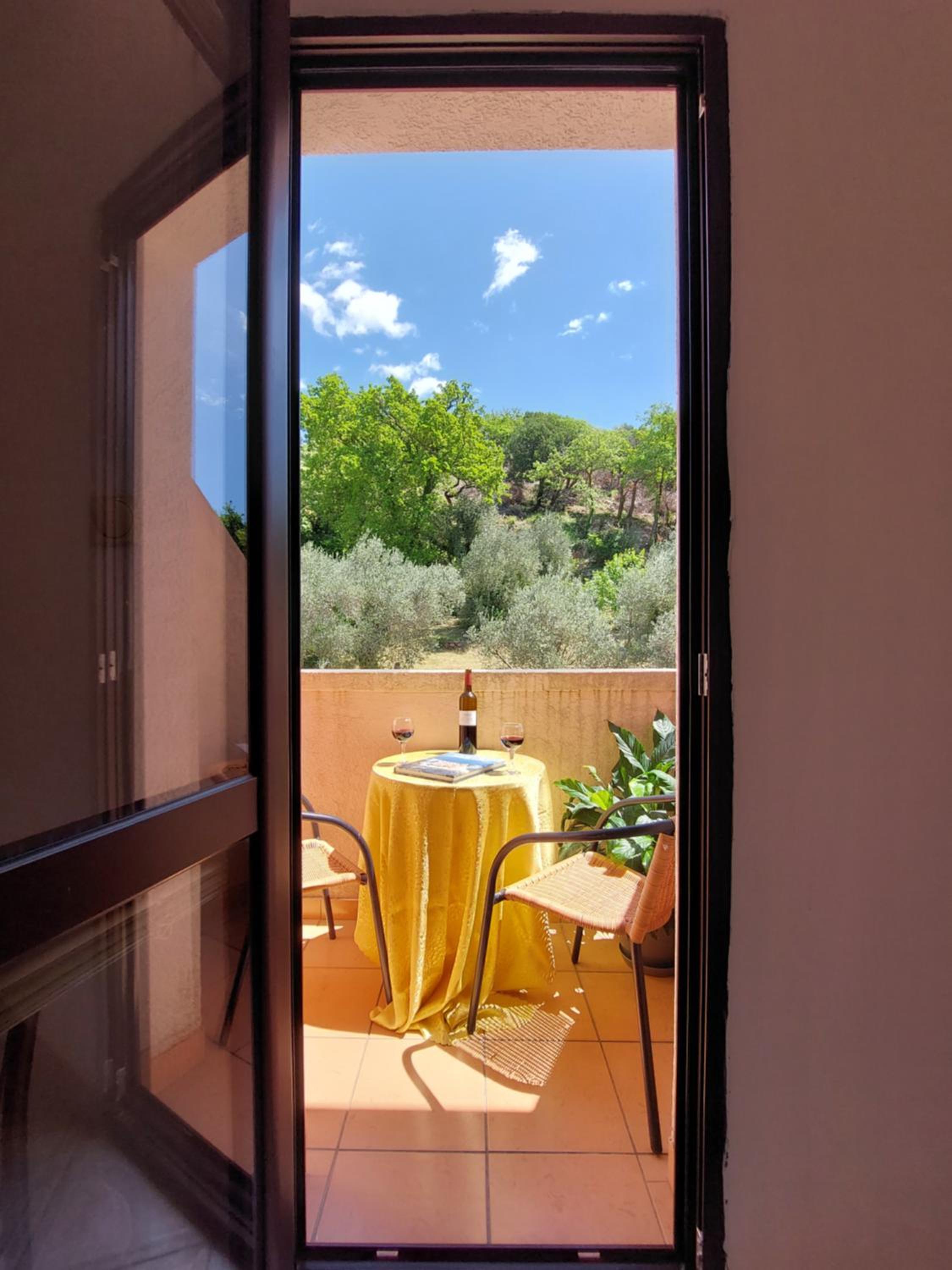 Double or Twin Studio with Balcony and Mountain View - Photo 9