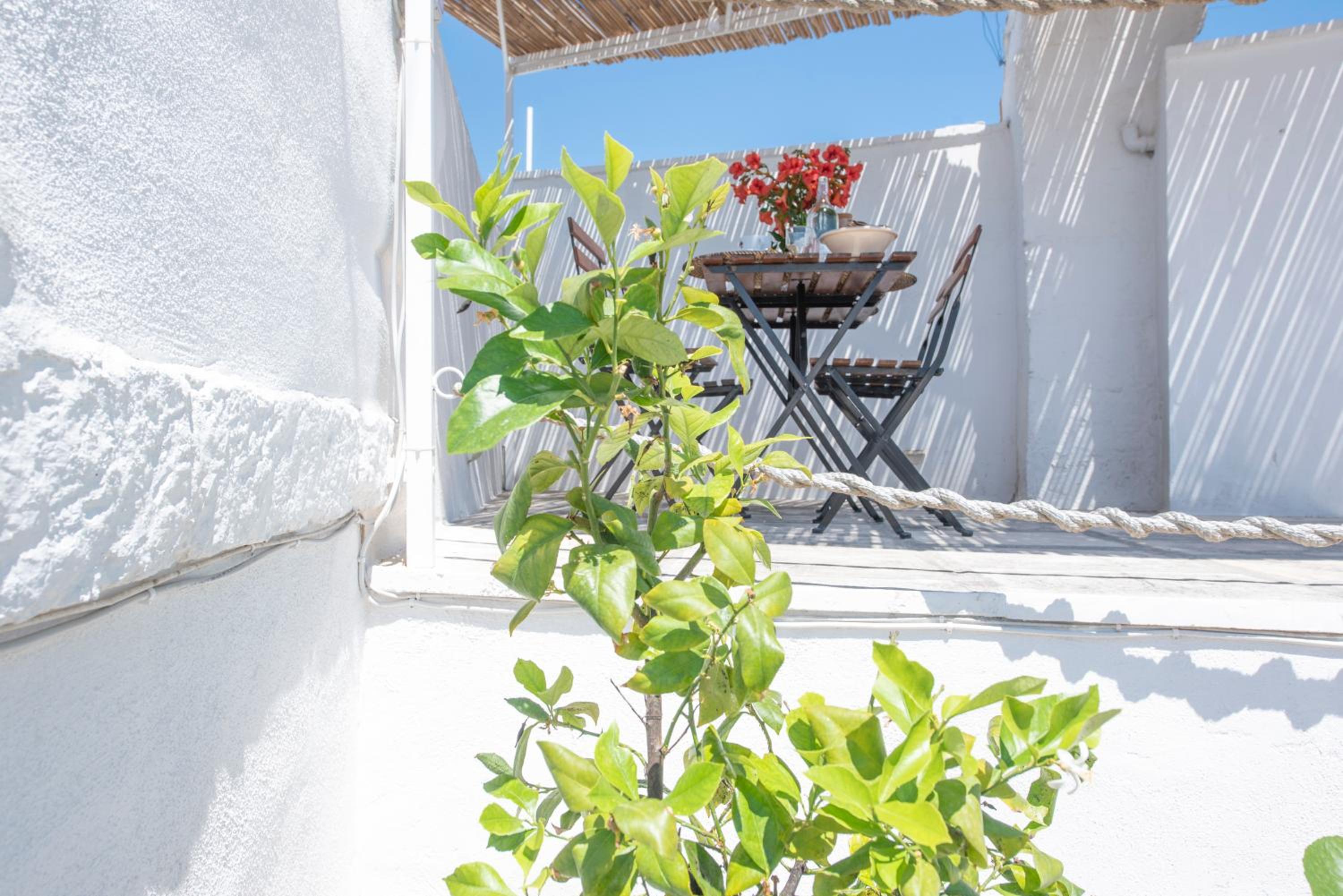Vacation Home - Photo 65