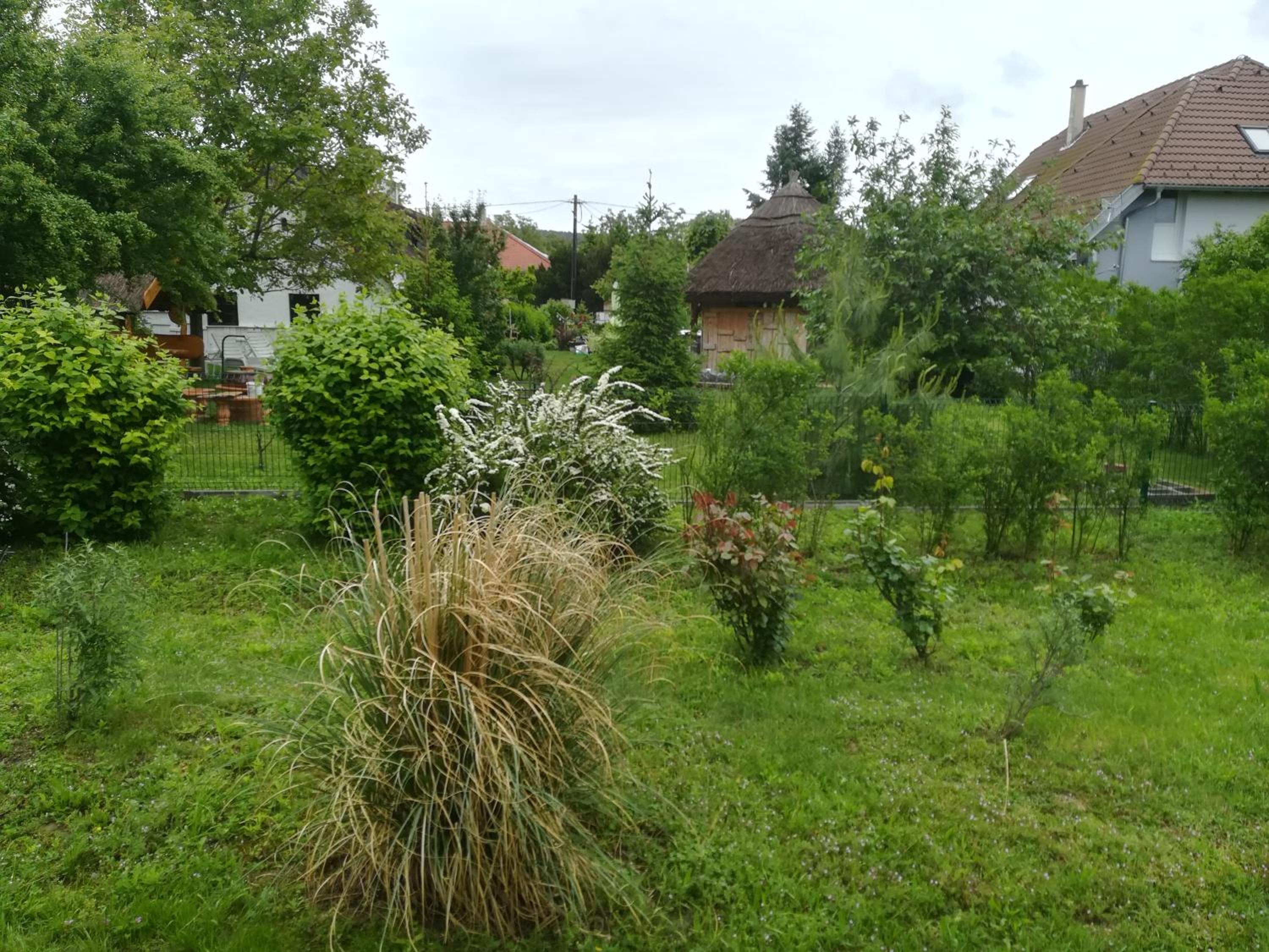 Apartment with Terrace photo 3