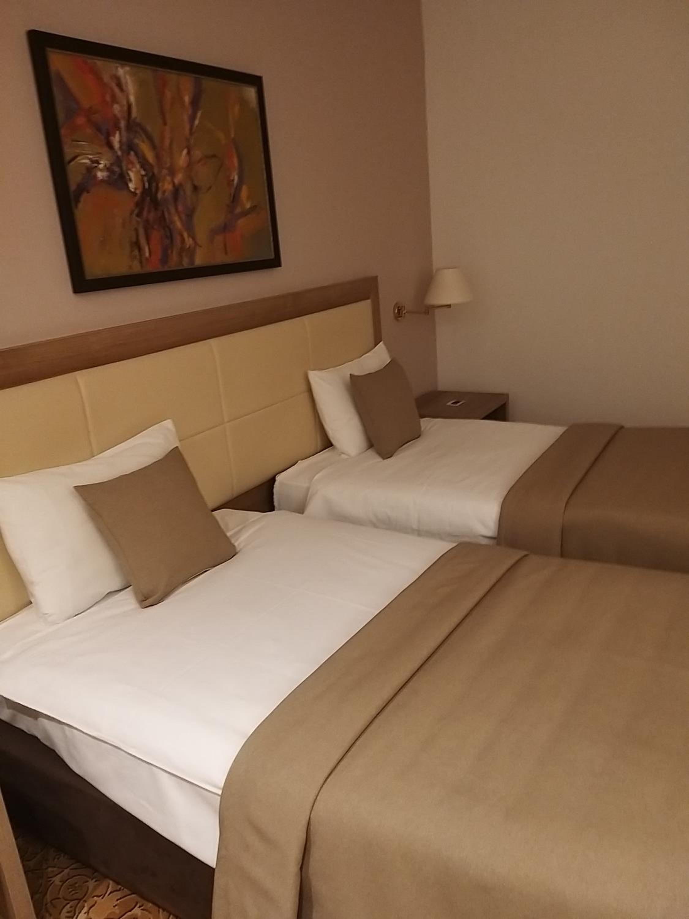 Standard Double or Twin Room photo 1