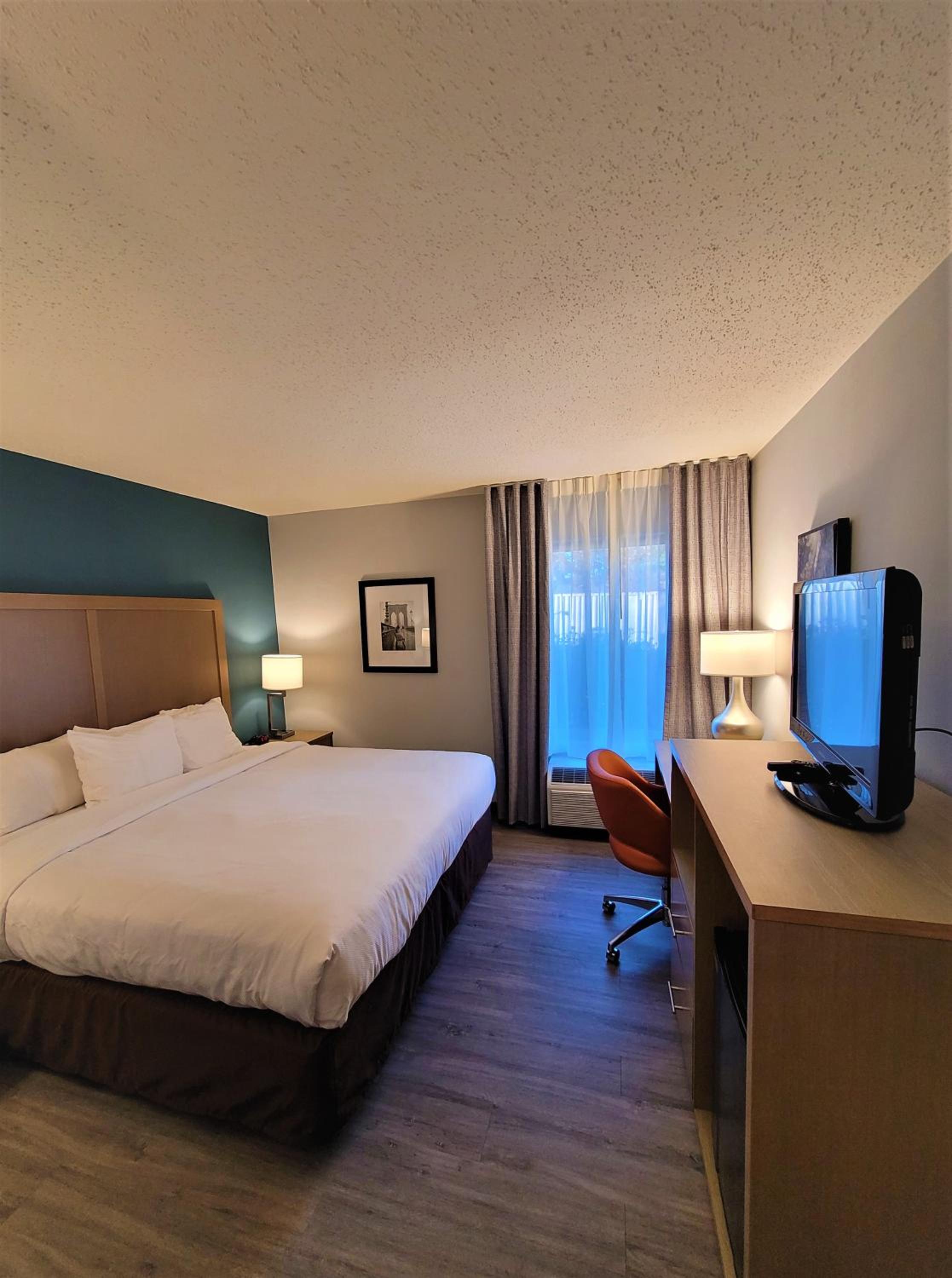 King Room - Non Smoking/Pet Friendly - Photo 1