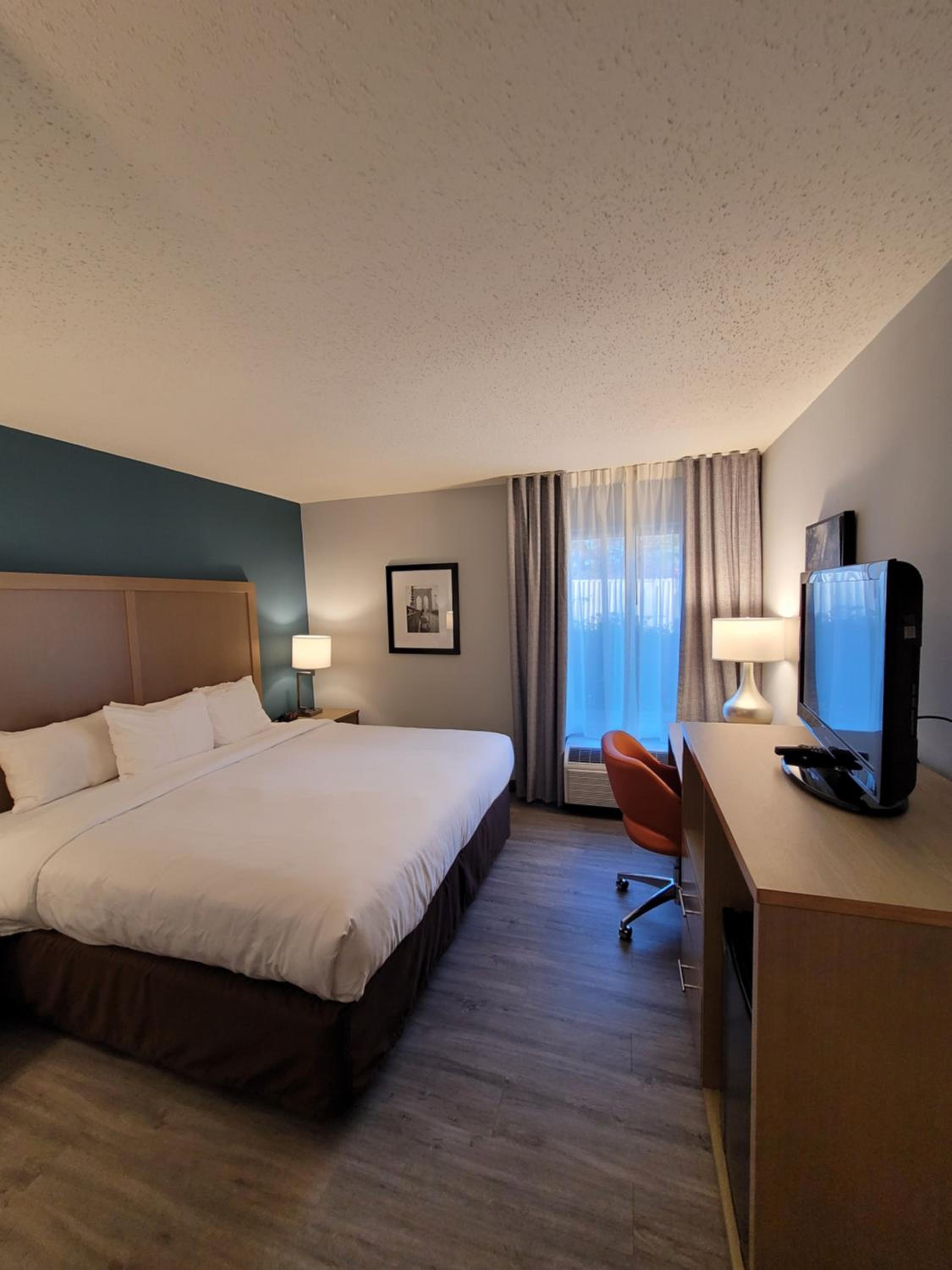 King Room - Non Smoking/Pet Friendly - Photo 3