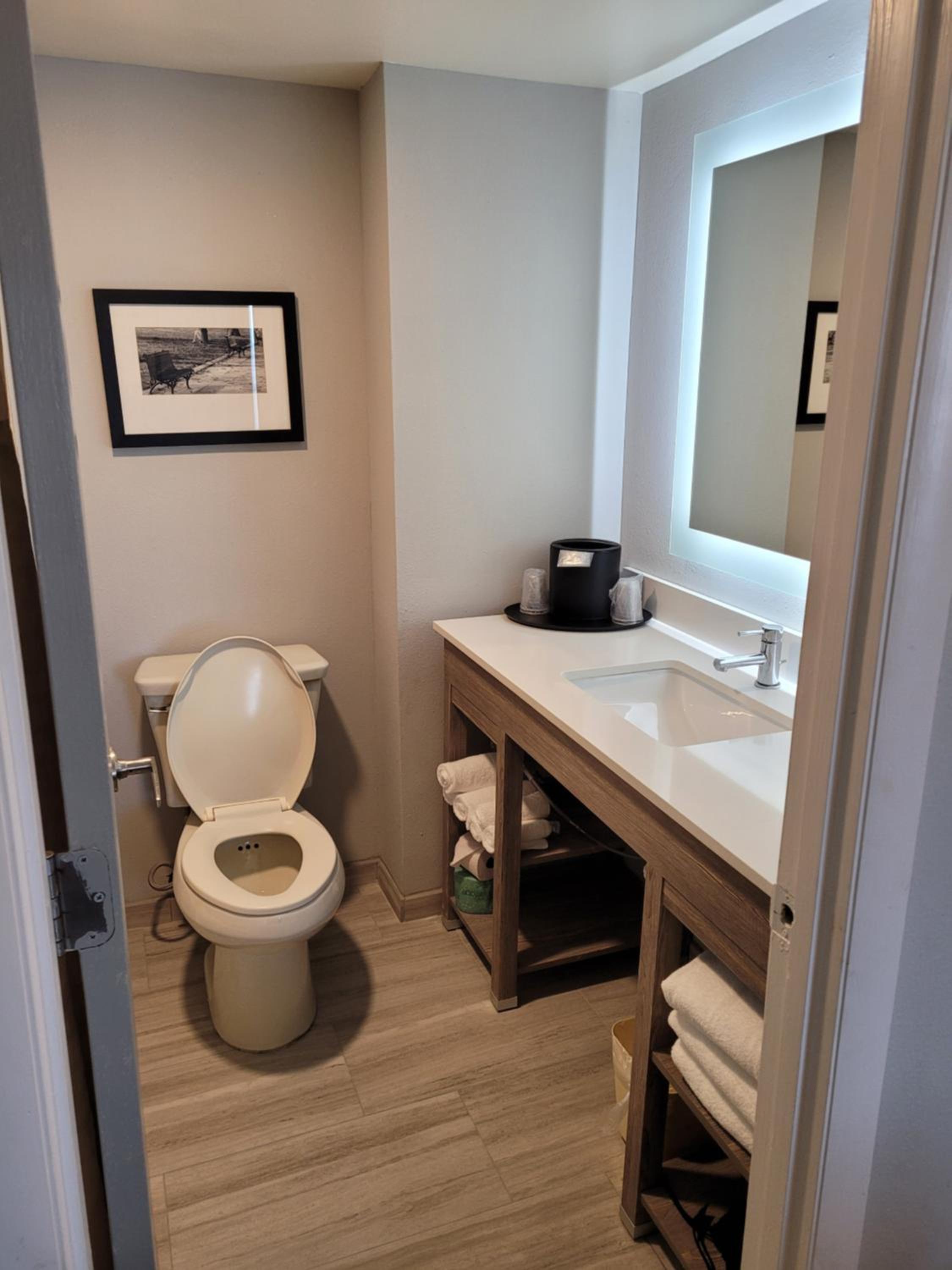 King Suite - Photo 3