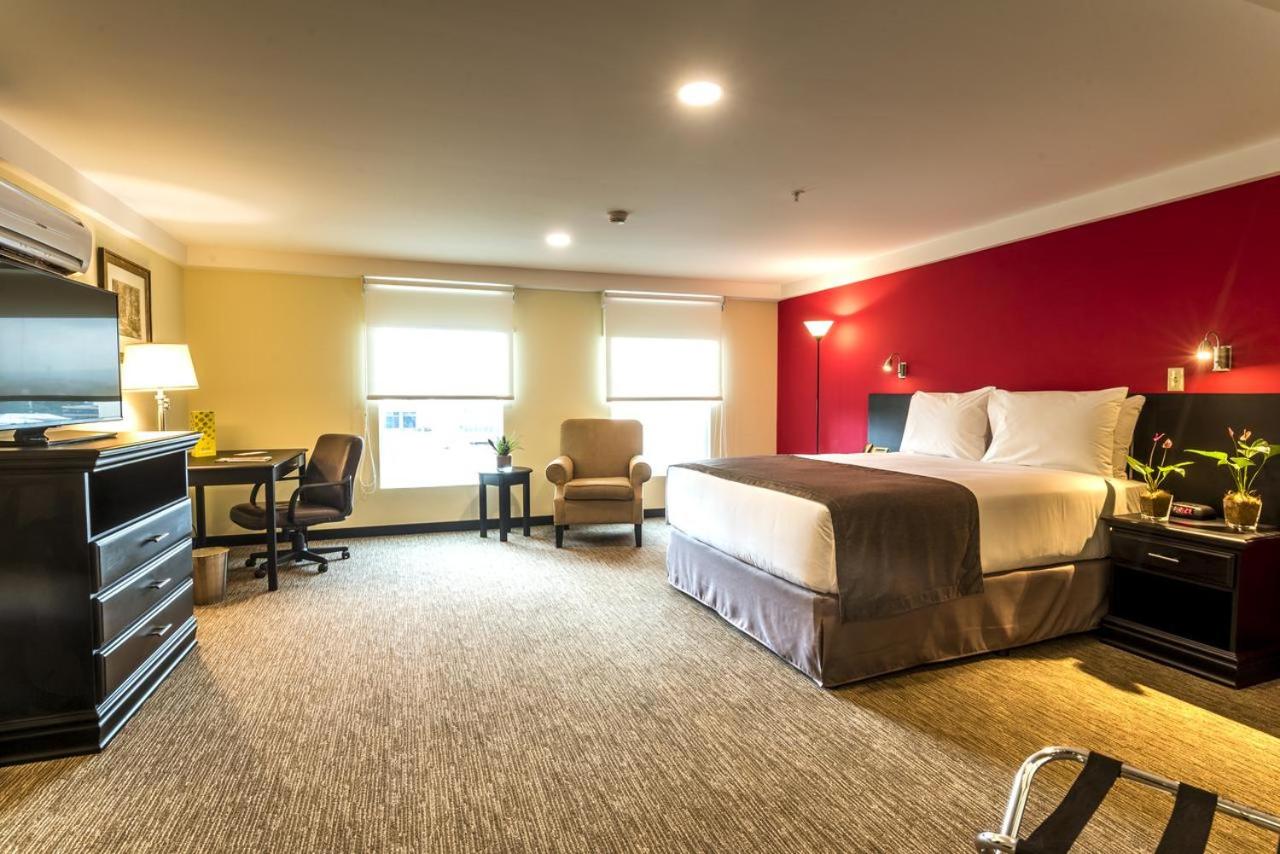 Superior Double or Twin Room - Photo 1