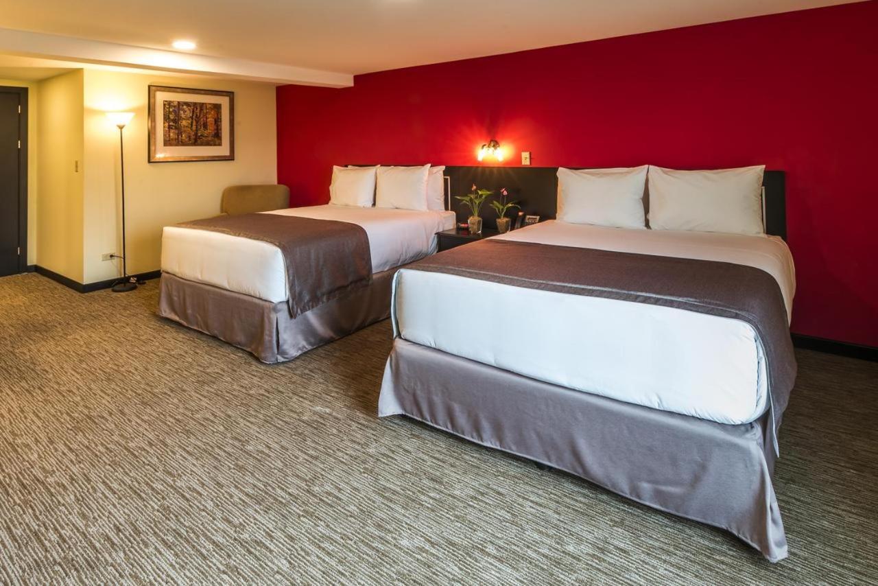 Double or Twin Room (No Window) - Photo 3