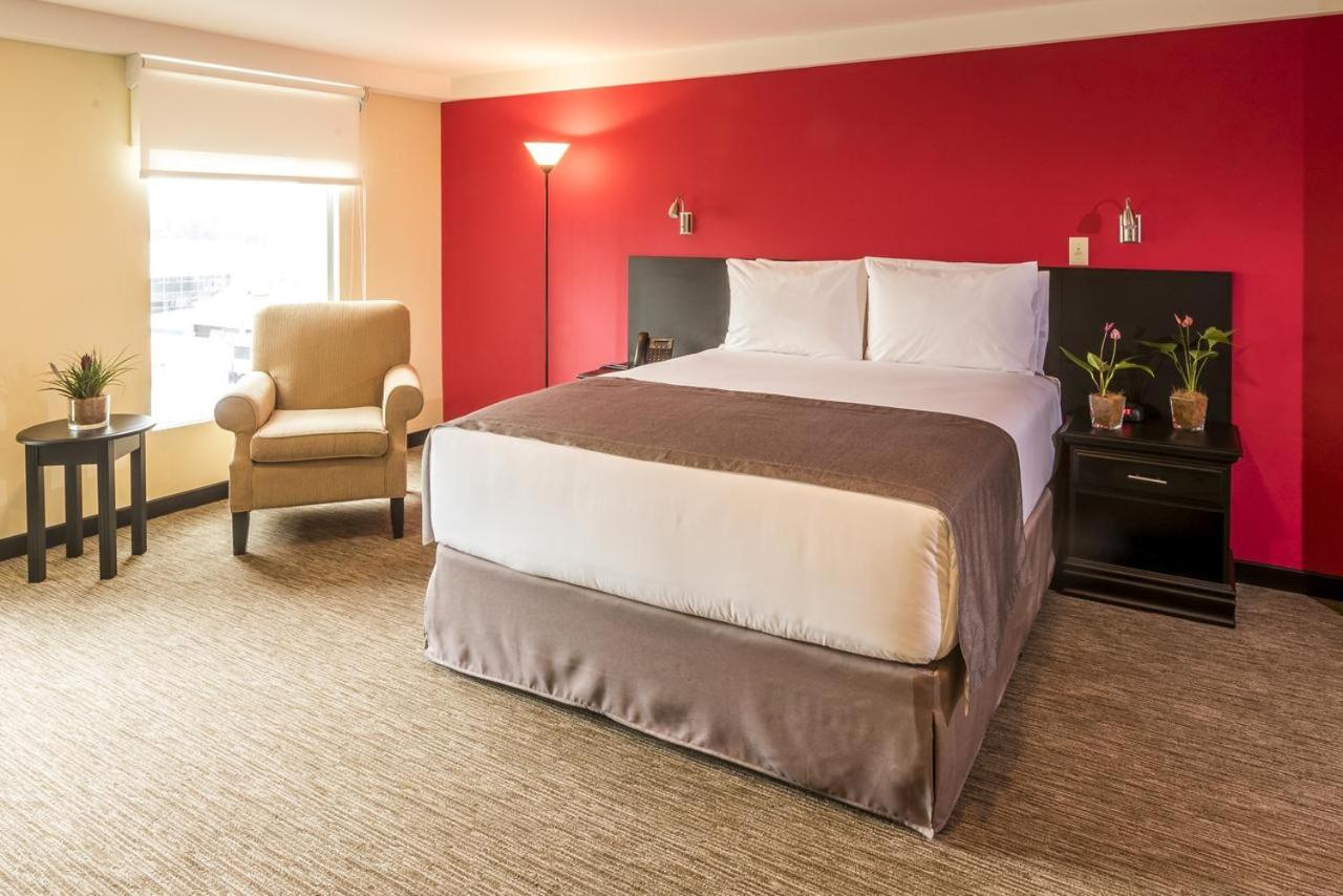 Superior Double or Twin Room - Photo 2
