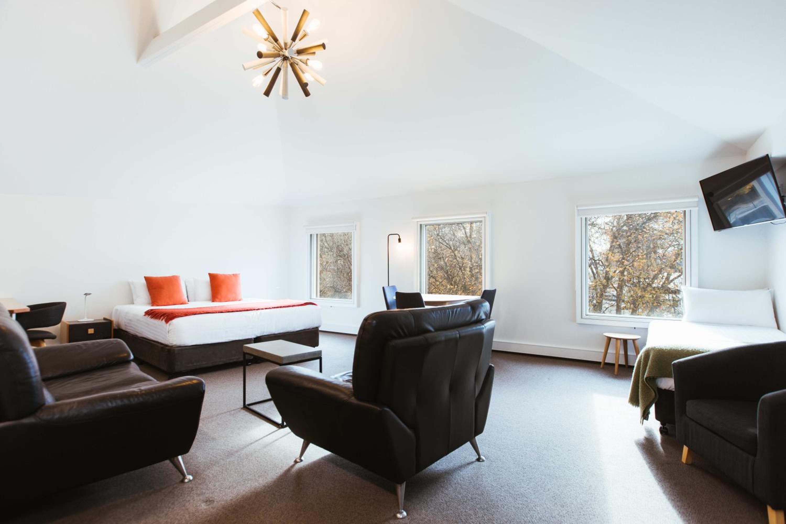 the SALAMANCA KING - Apt 1