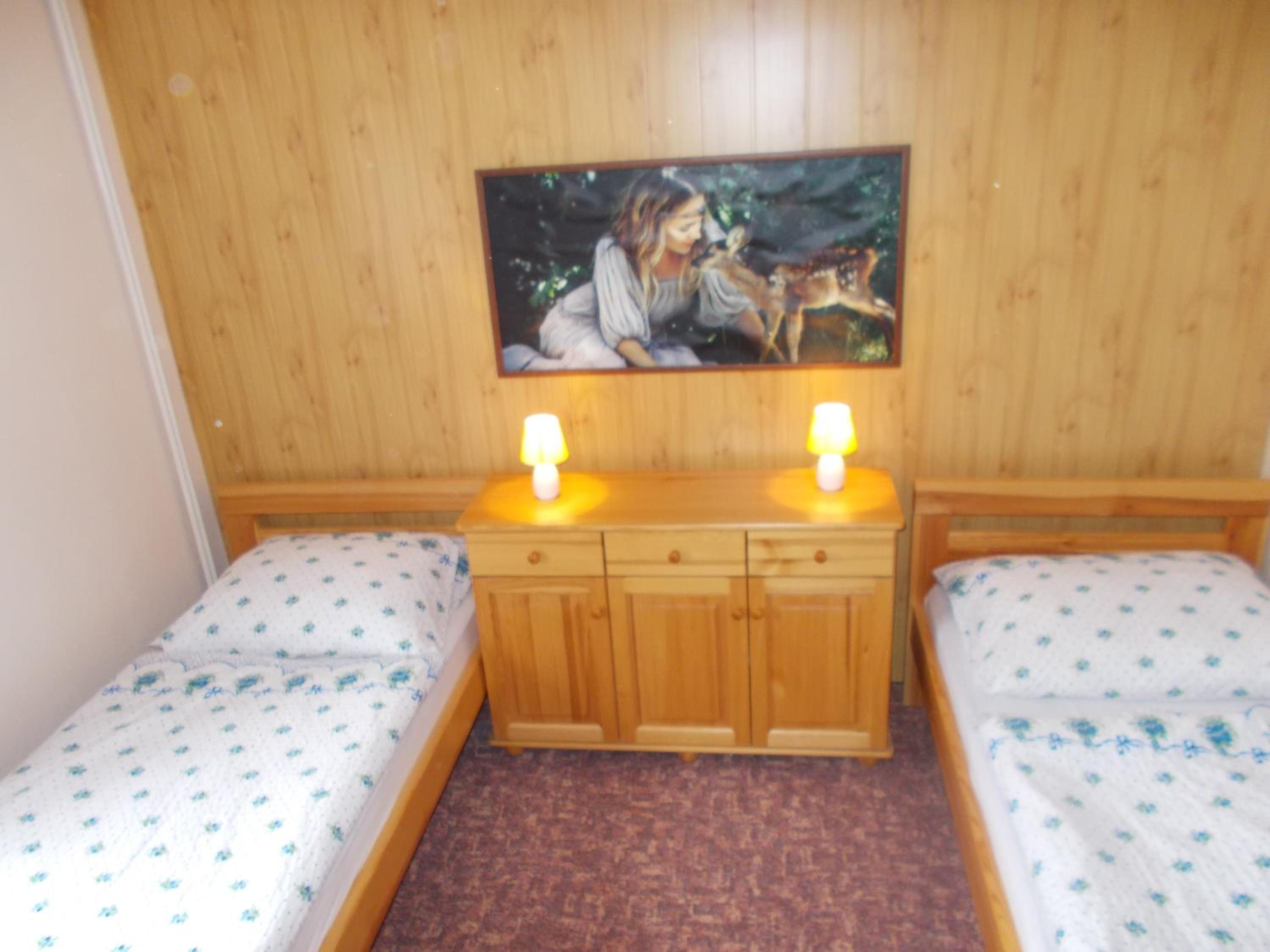 Twin Room photo 2
