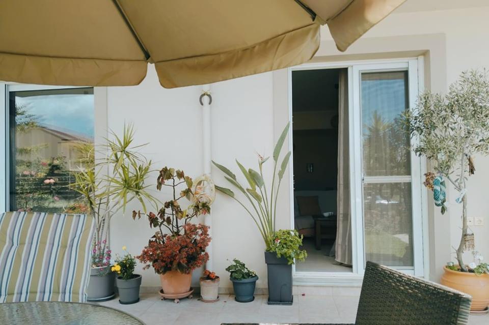 One-Bedroom Apartment - Photo 17