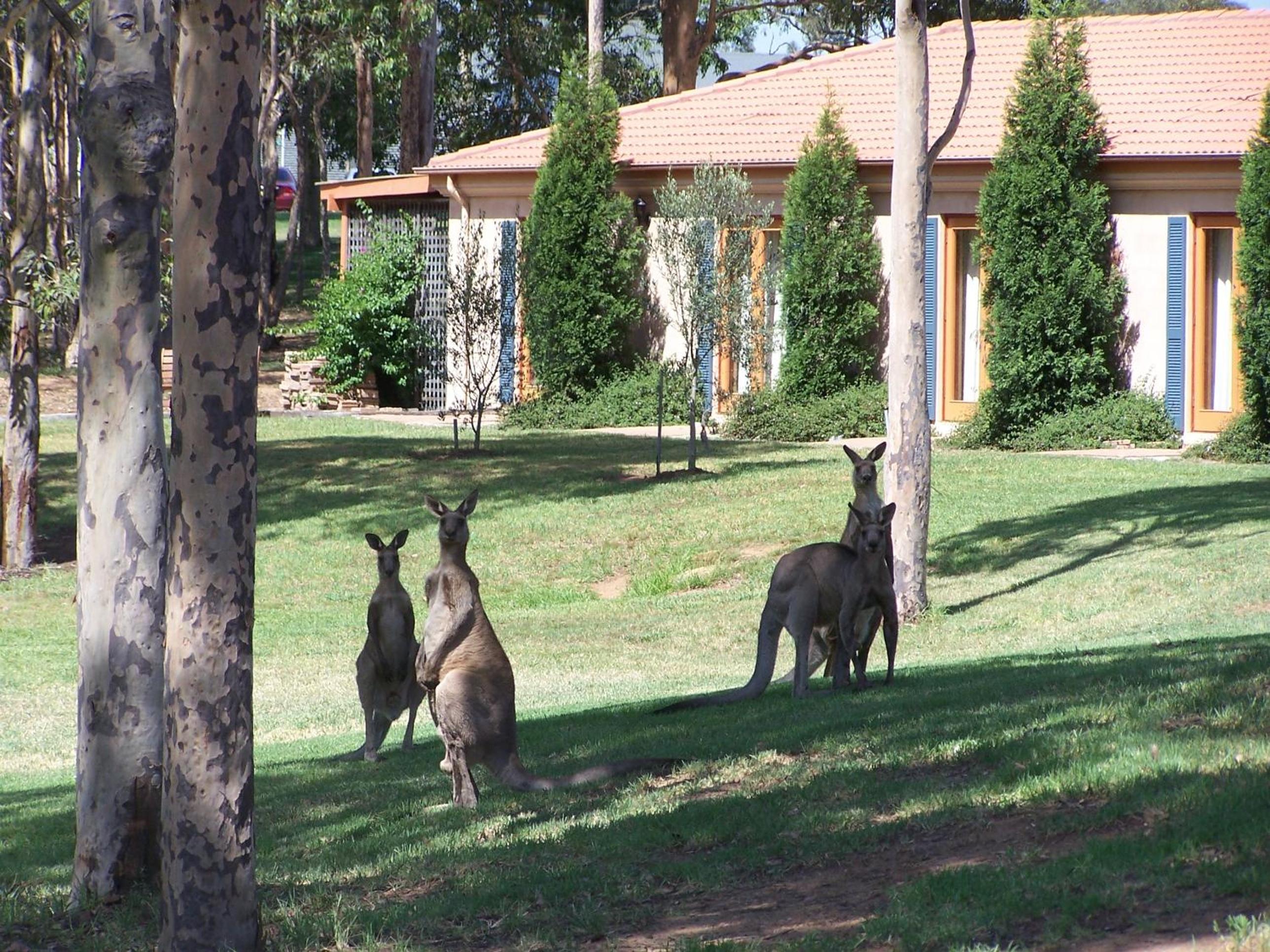 Olive Grove - Queen Room - Photo 9
