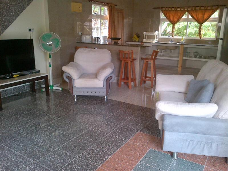 Apartment with Terrace