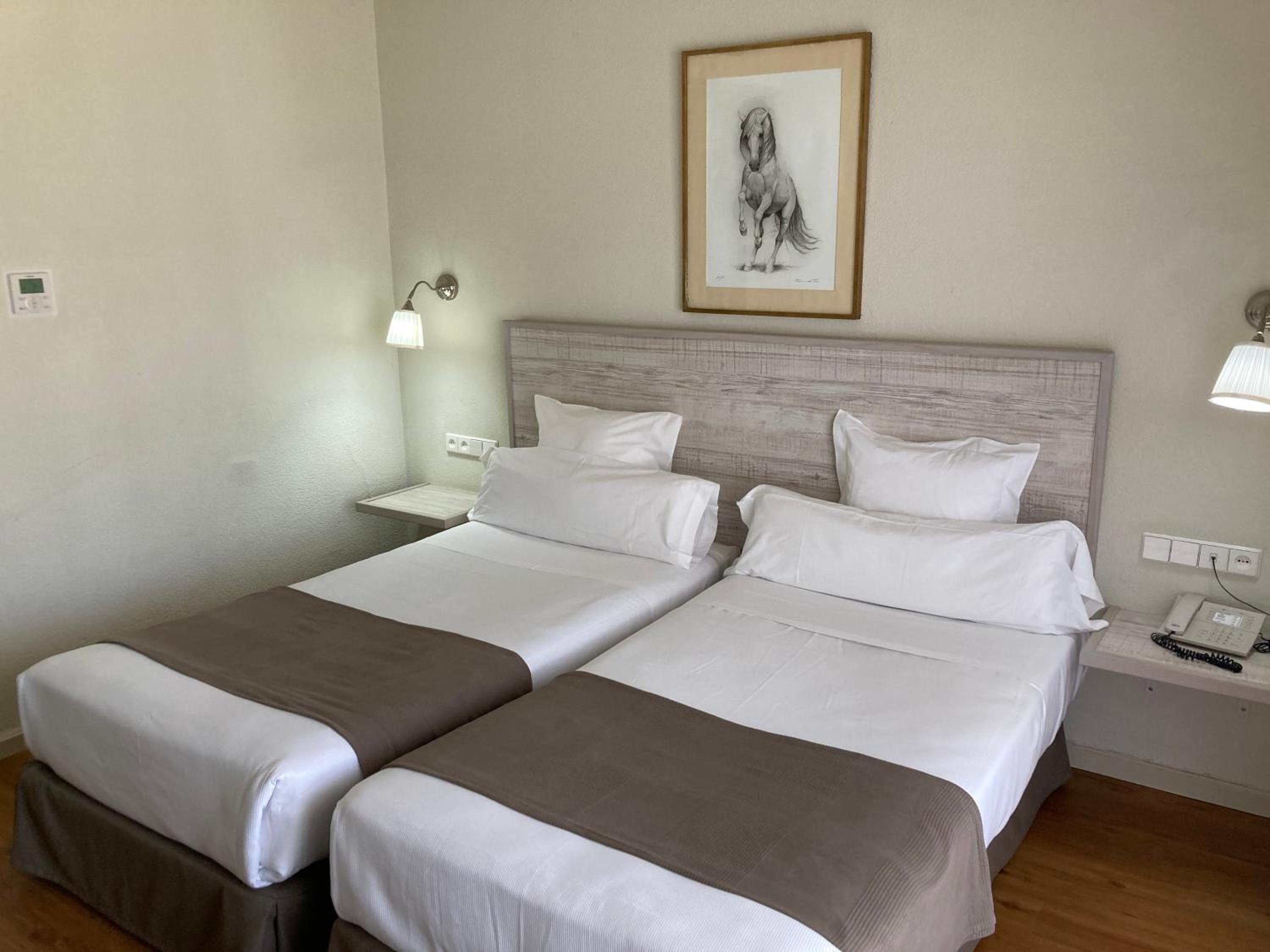 Standard Double or Twin Room - Photo 5