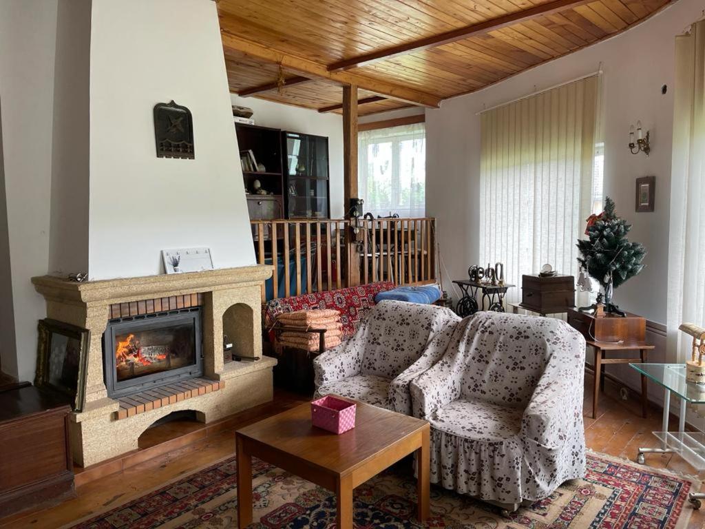 Four-Bedroom Villa - Photo 8