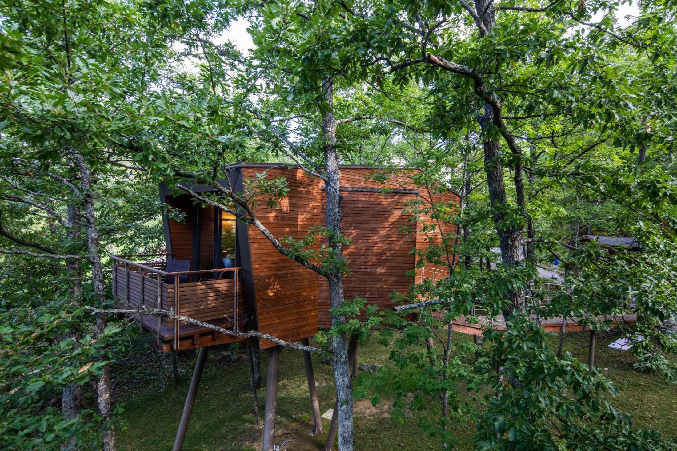 Junior Suite - Tree House photo 2