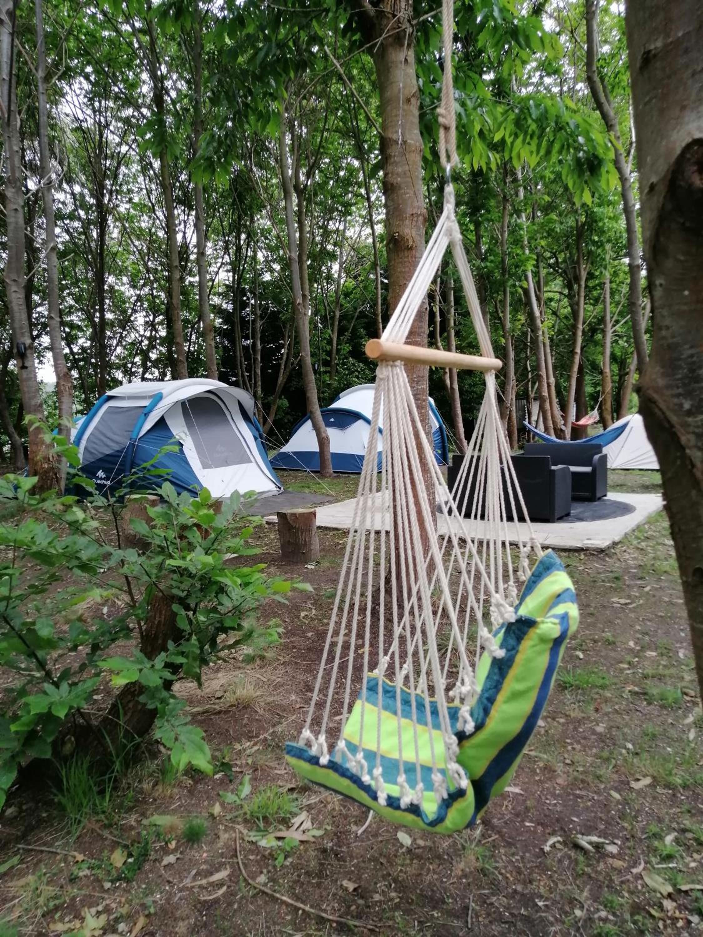 Deluxe Camping Tent - Photo 12