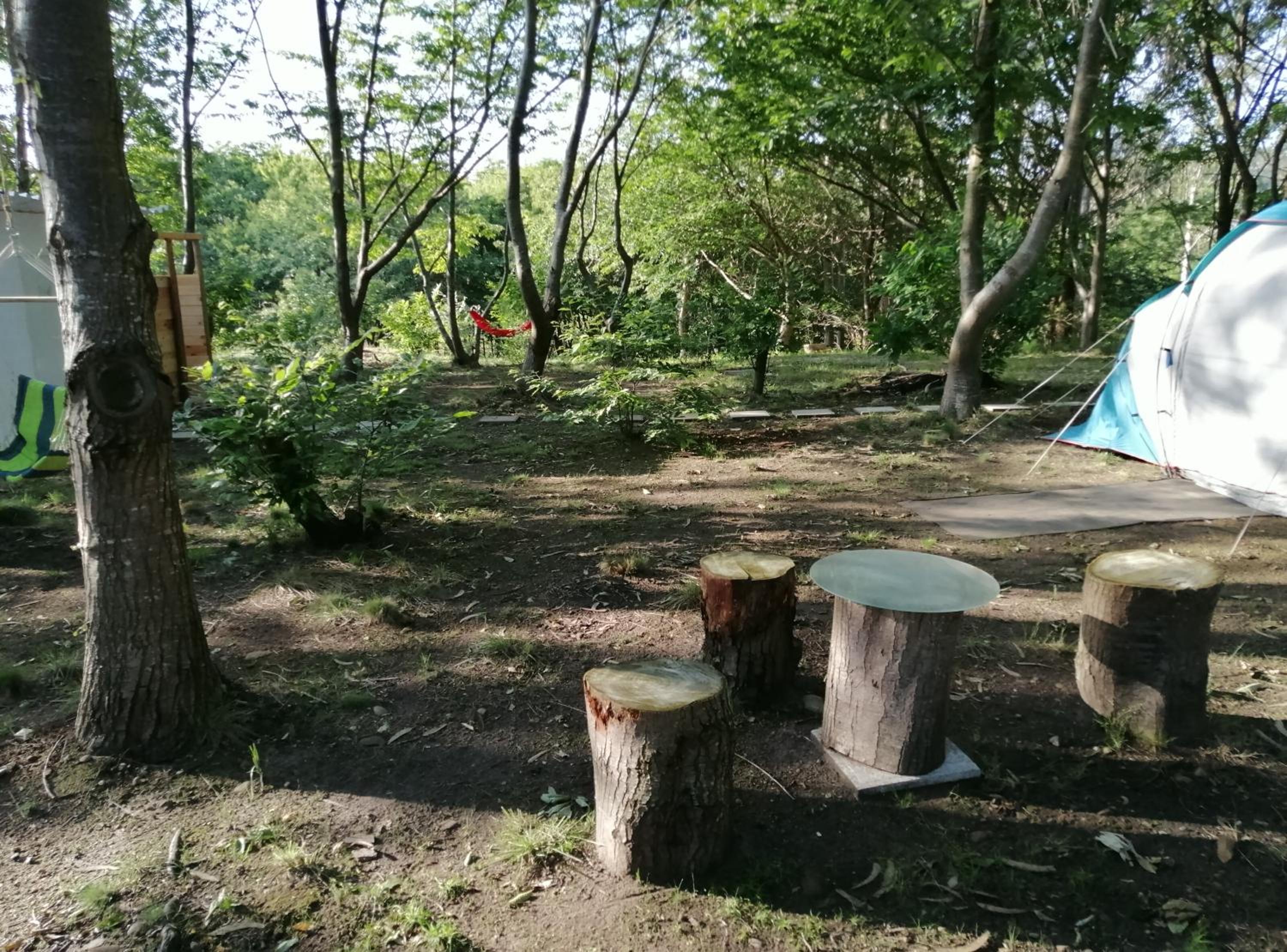 Deluxe Camping Tent - Photo 6
