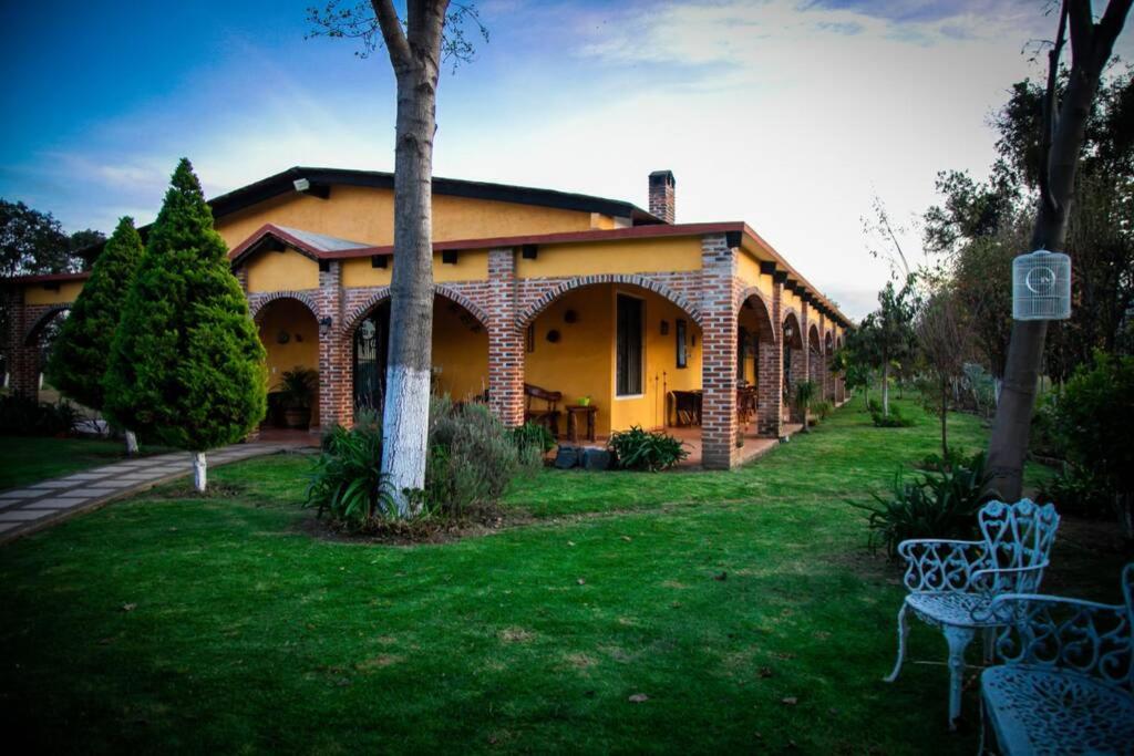 Deluxe Villa photo 3