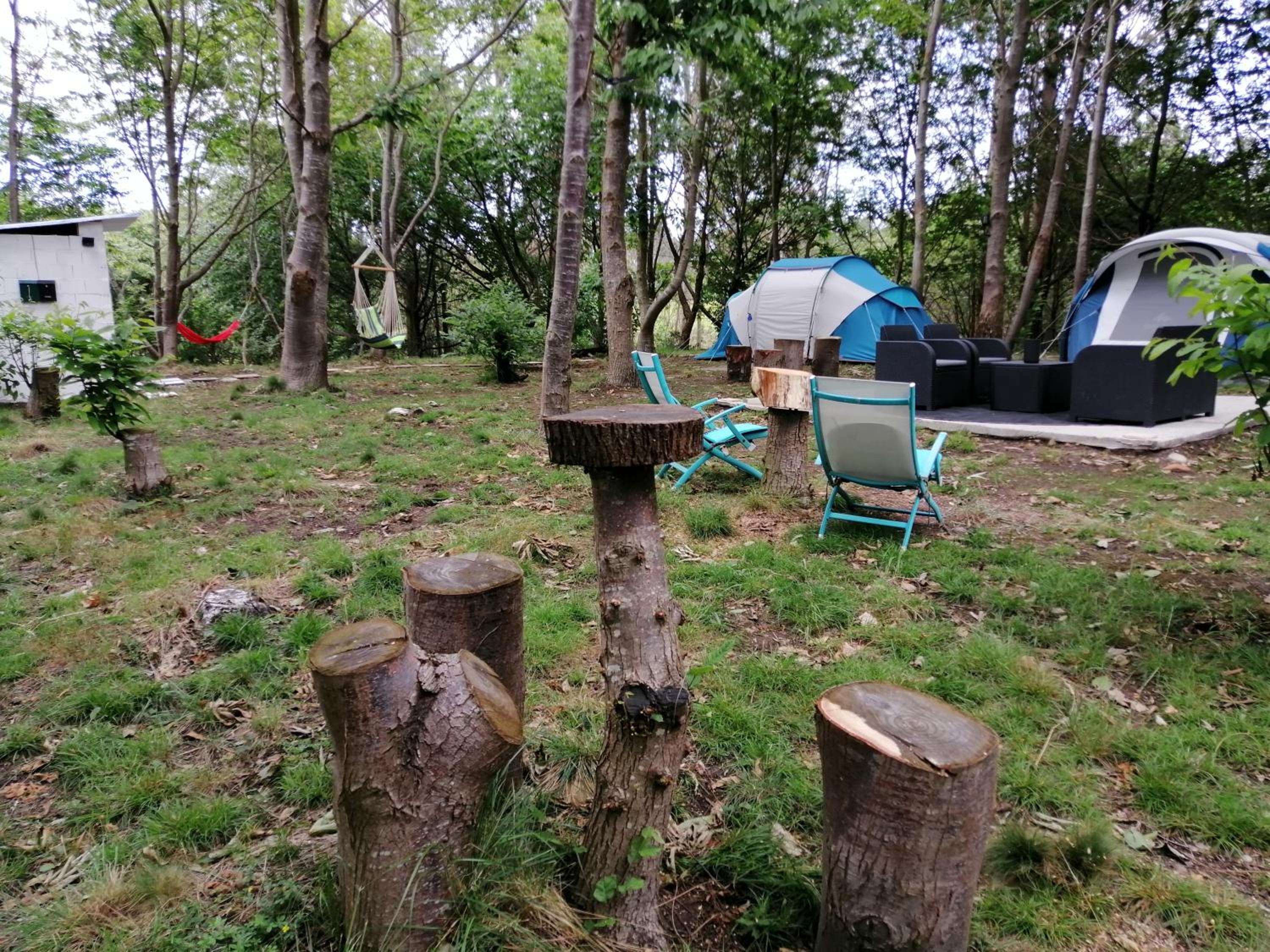 Deluxe Camping Tent - Photo 23