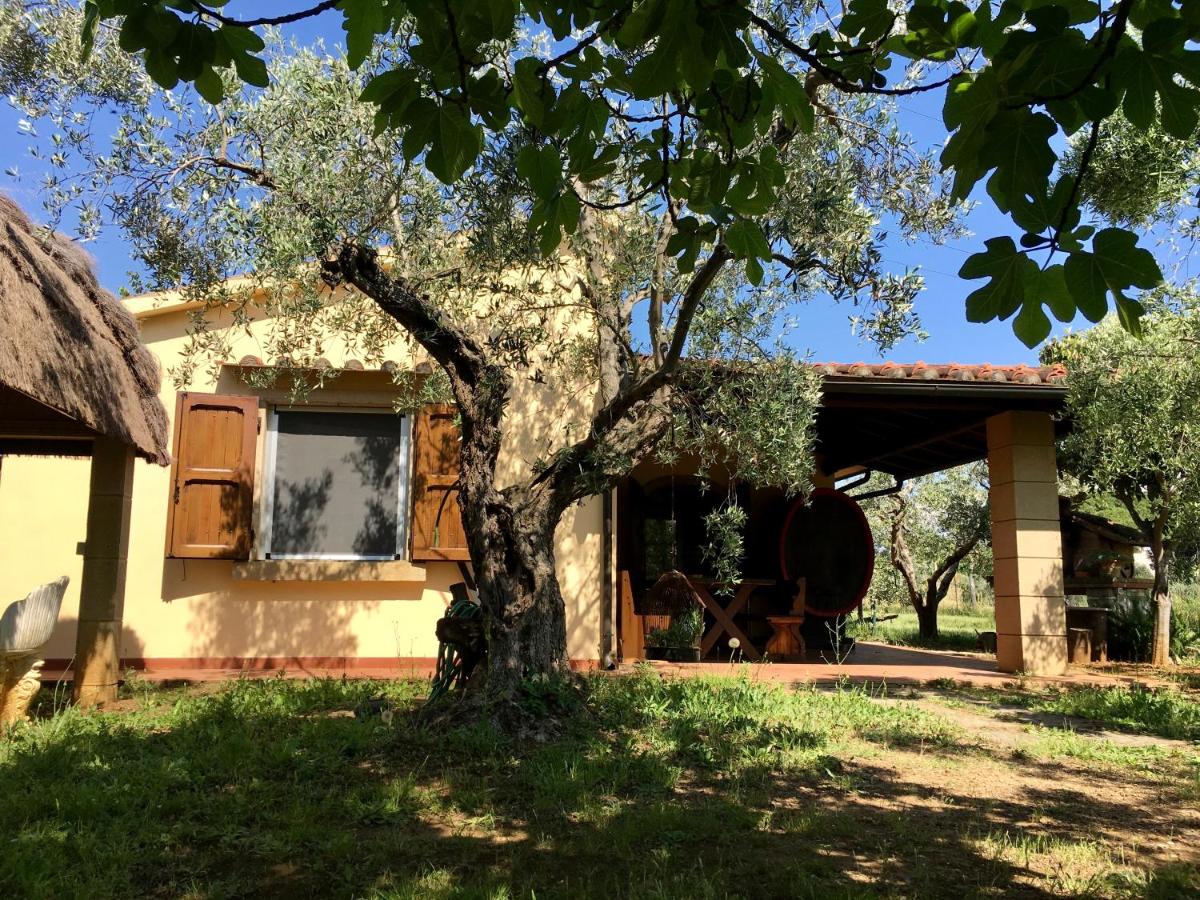 Holiday Home photo 3
