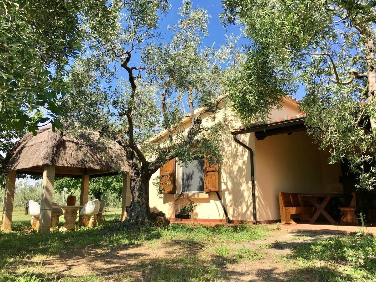 Holiday Home photo 2