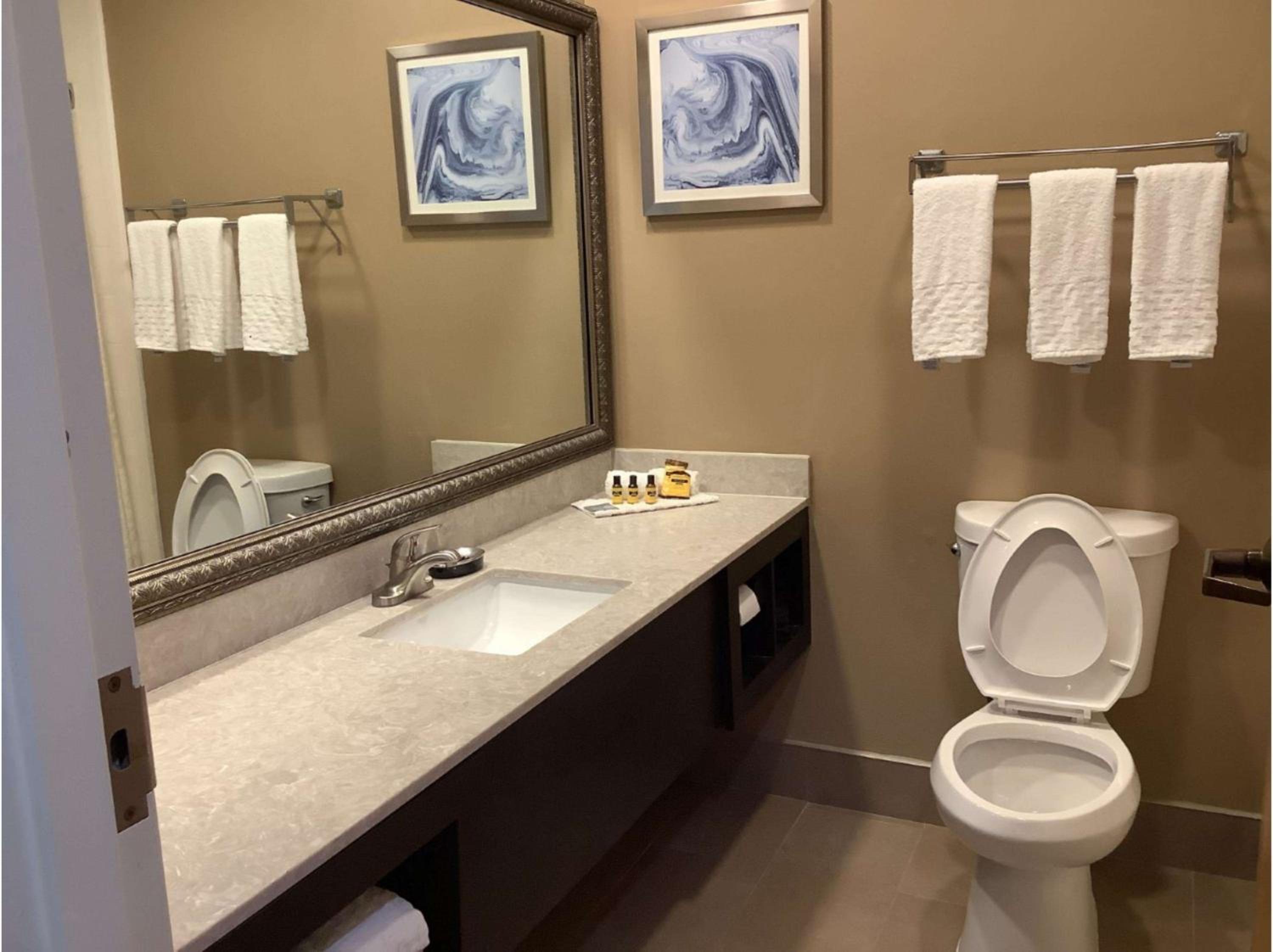 King Room with Roll-In Shower - Mobility Access/Communication Assistance photo 2