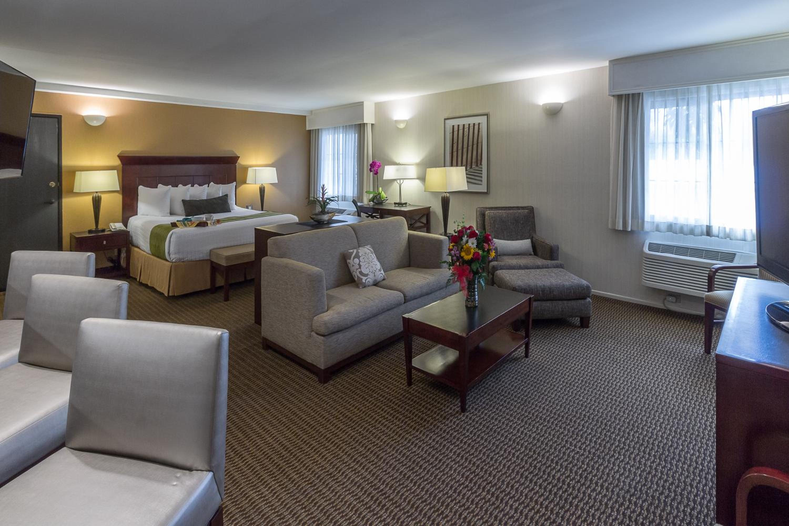 King Suite with Sofa Bed - Non-Smoking - Photo 6