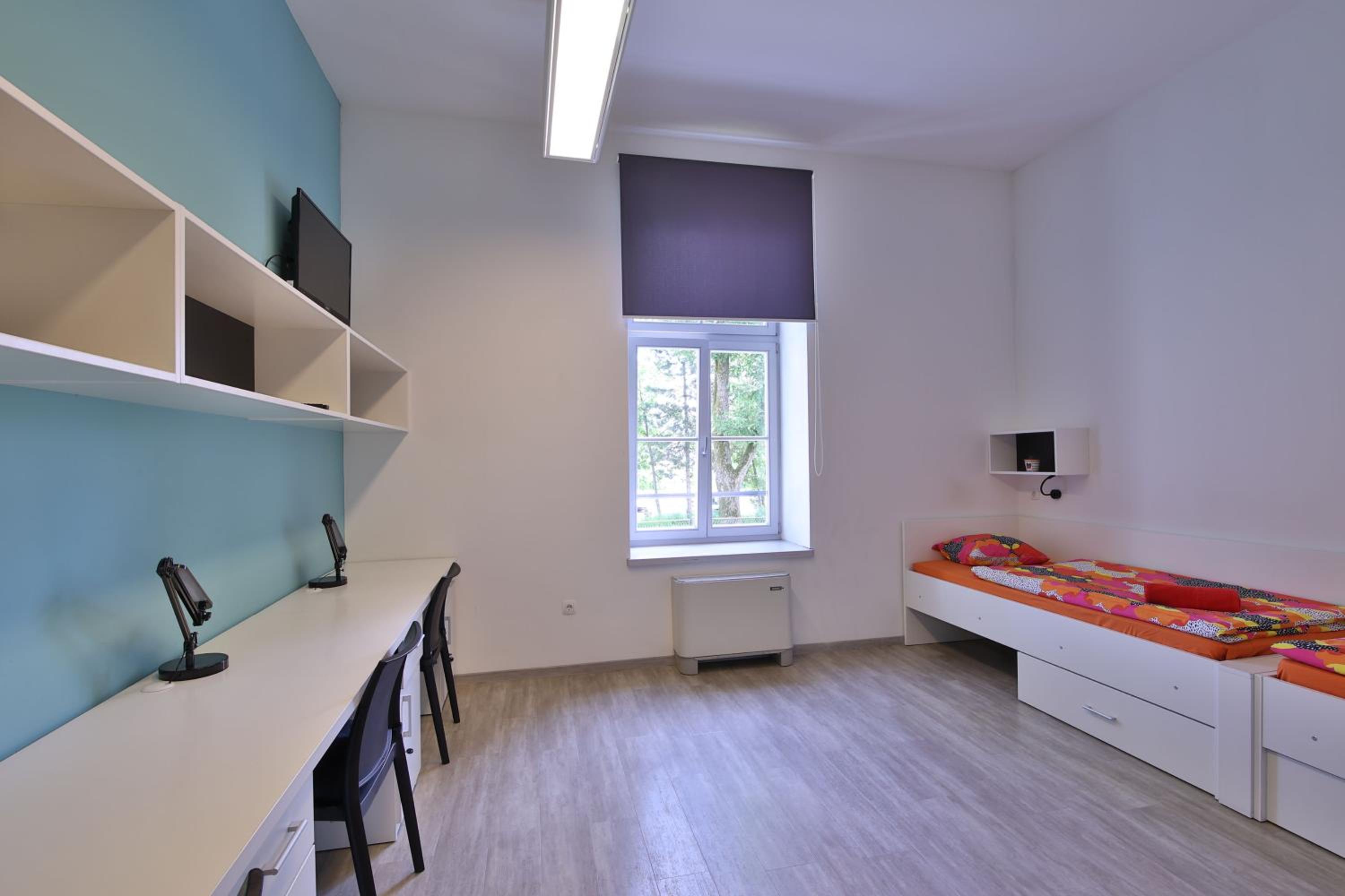 Bed in 3-Bed Mixed Dormitory Room photo 3