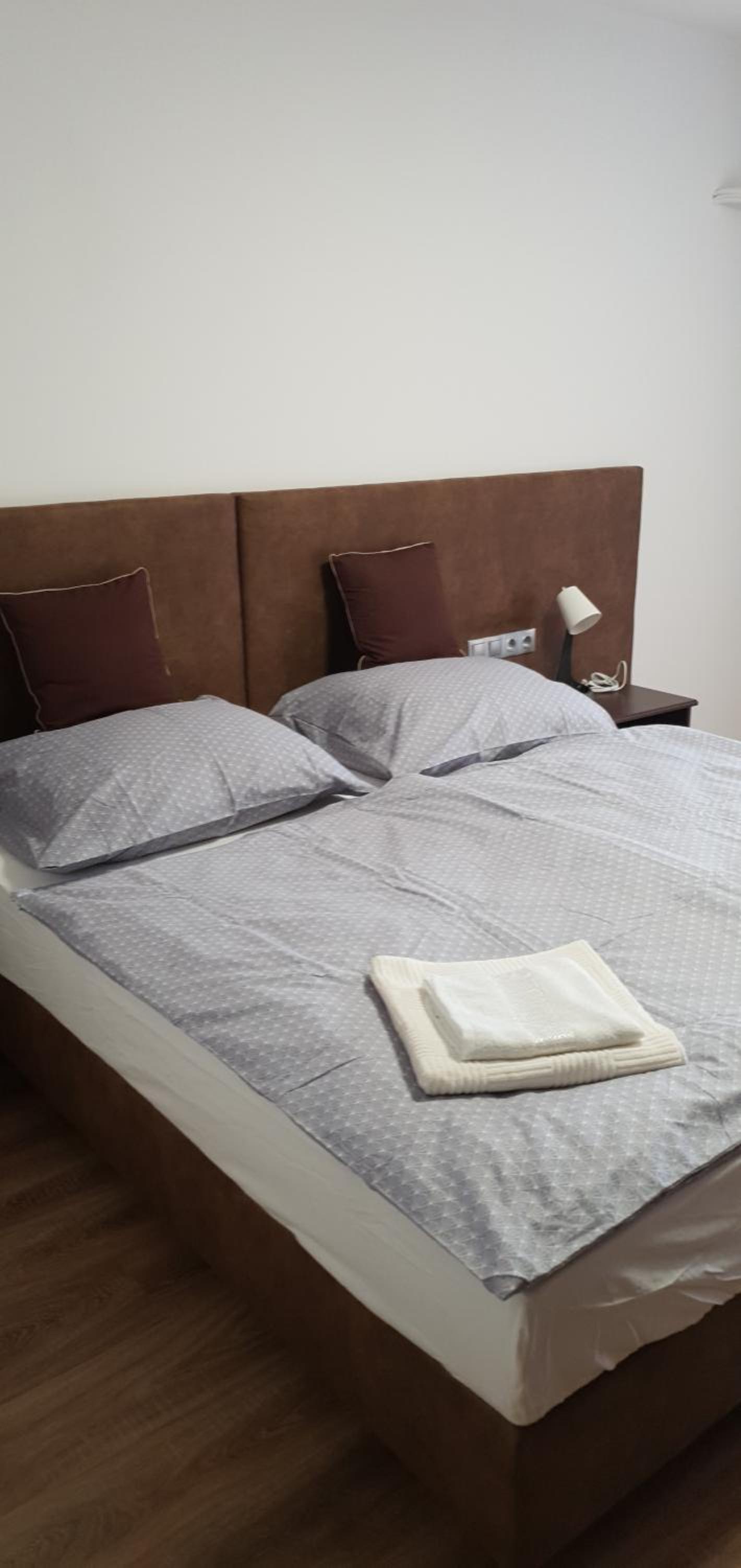Deluxe Double or Twin Room photo 3