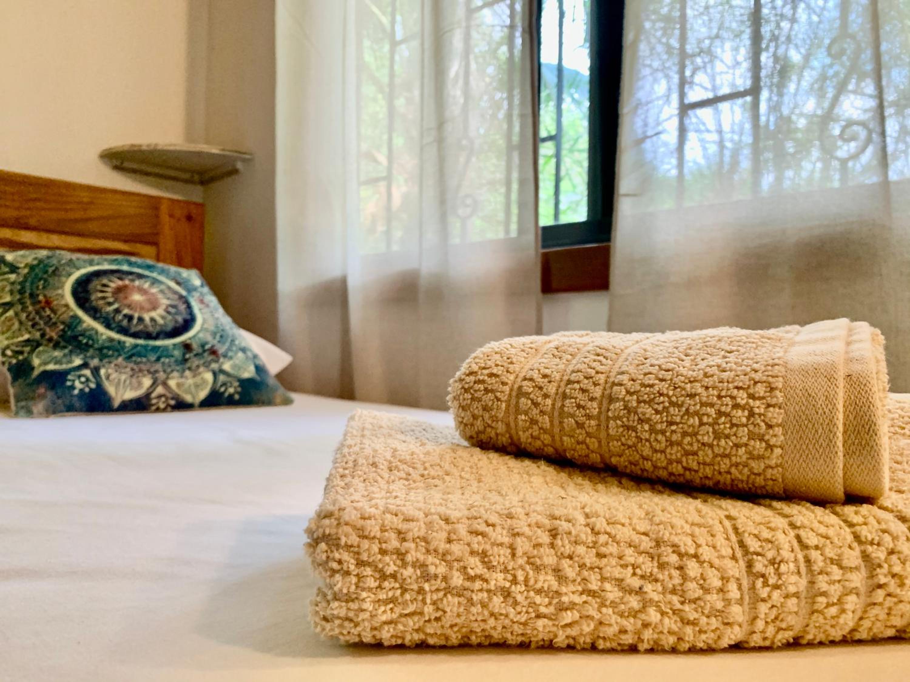 Double or Twin Room with Garden View