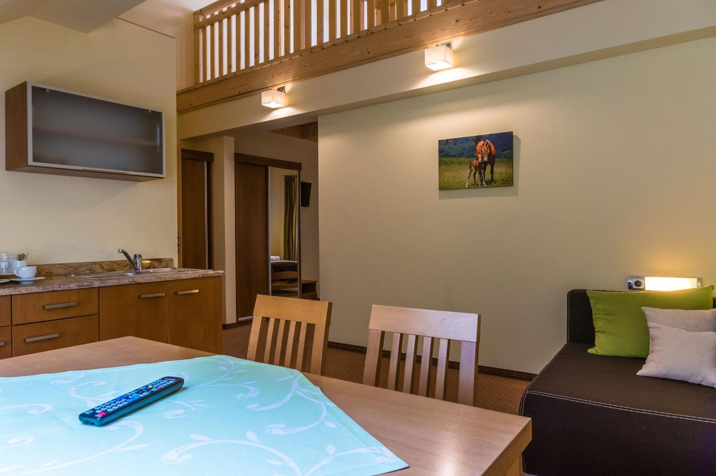 Duplex Apartment photo 2