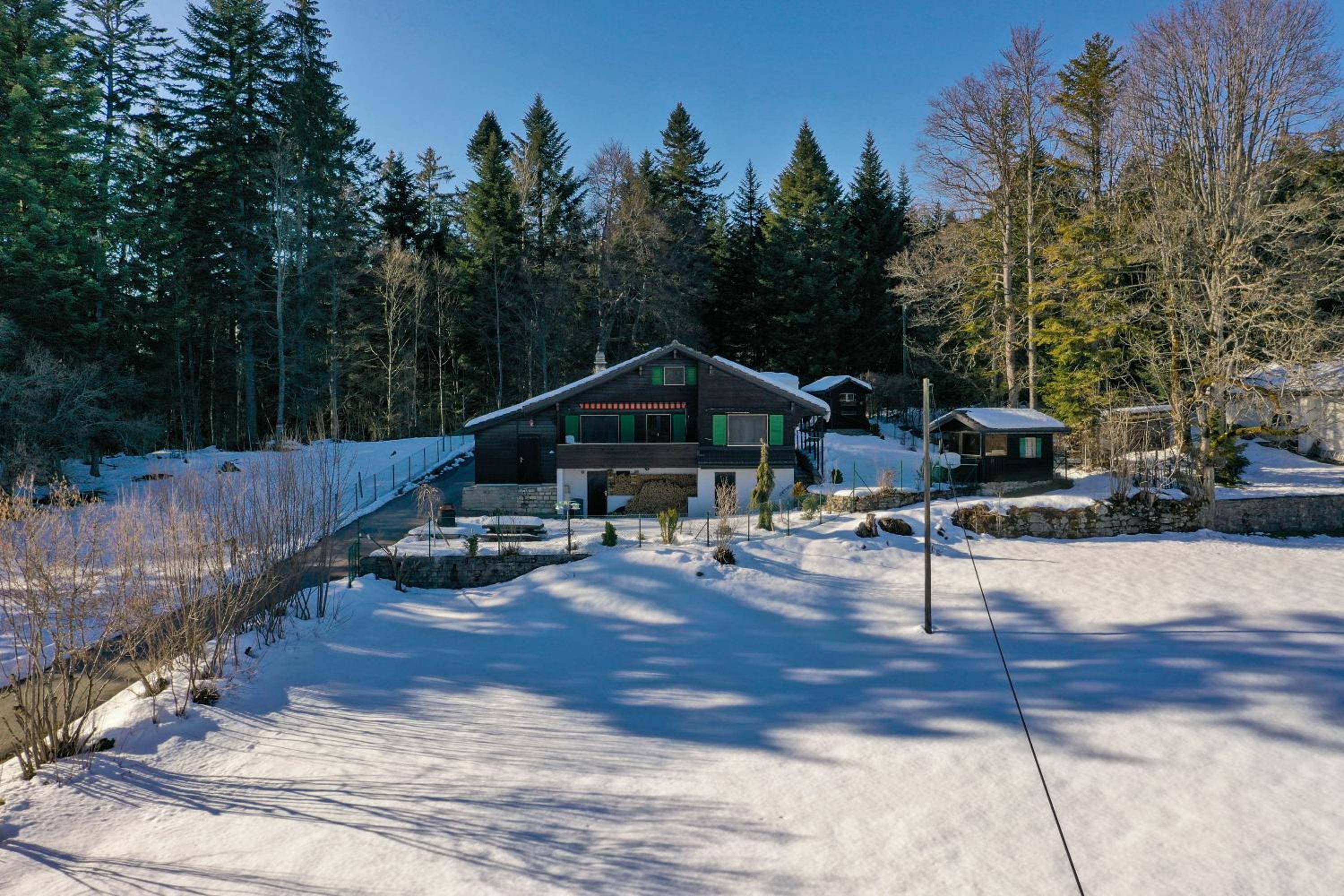 Three-Bedroom Chalet photo 2