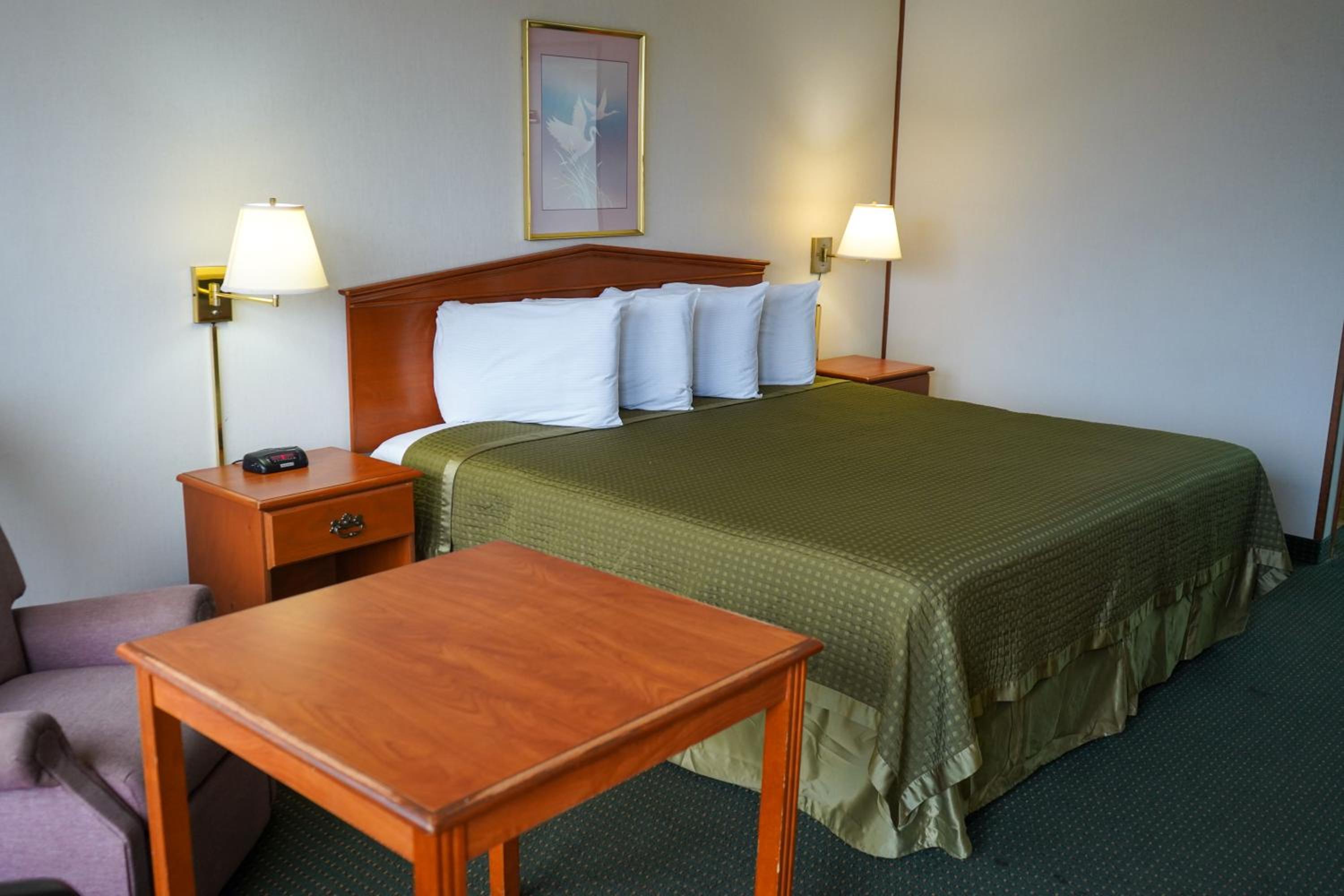 King Room photo 1