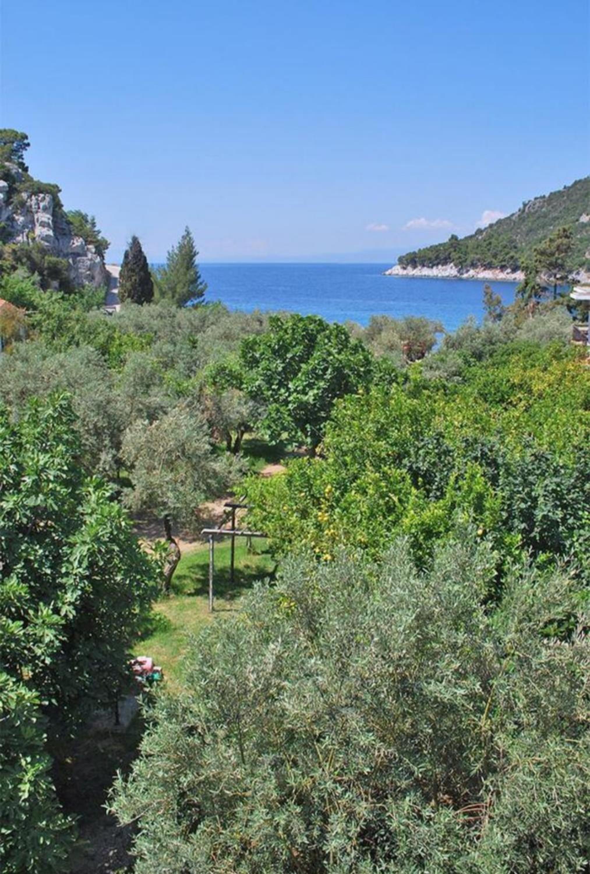 Double Room with Garden View photo 3