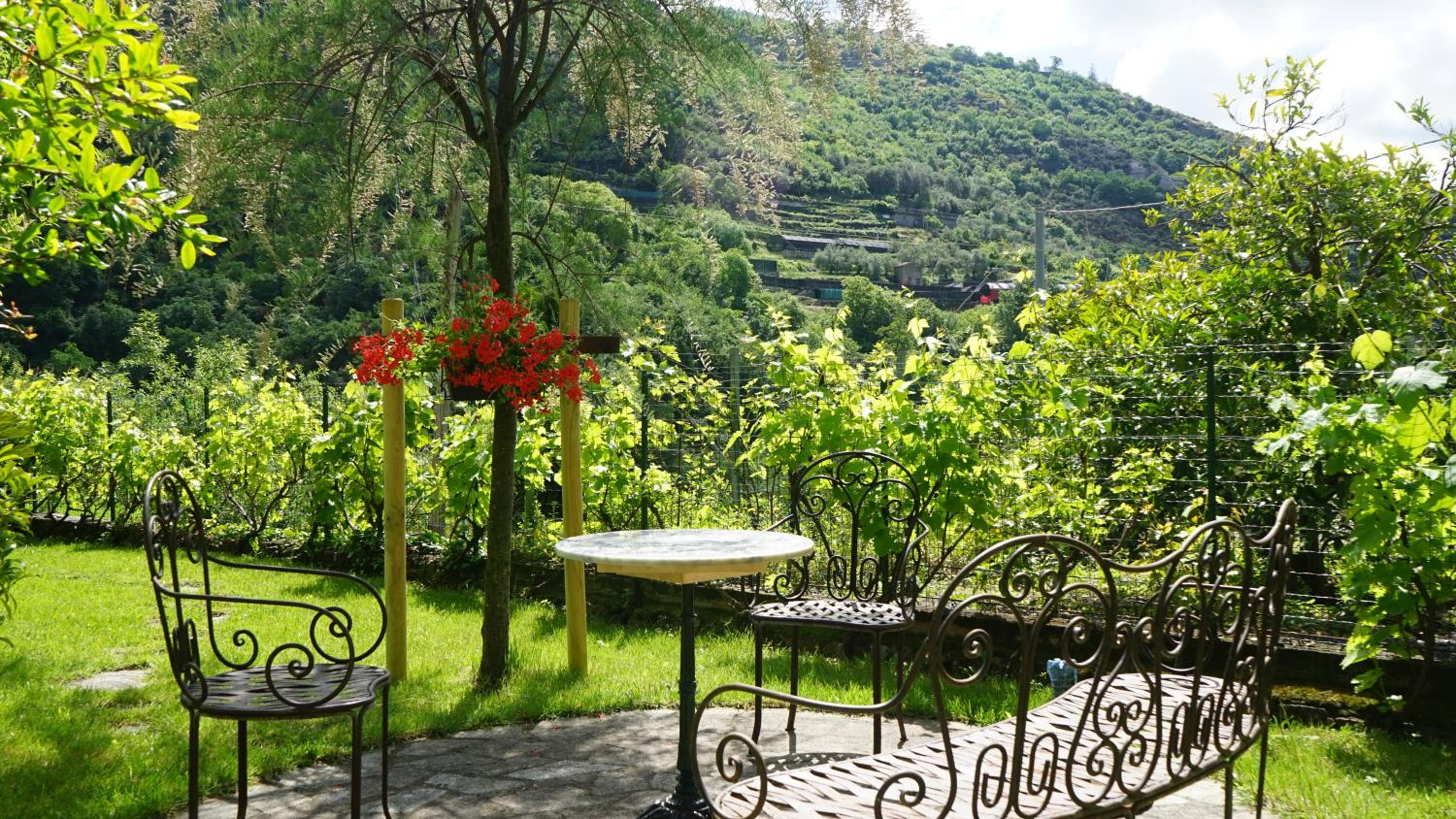 One-Bedroom Apartment with Garden View photo 2