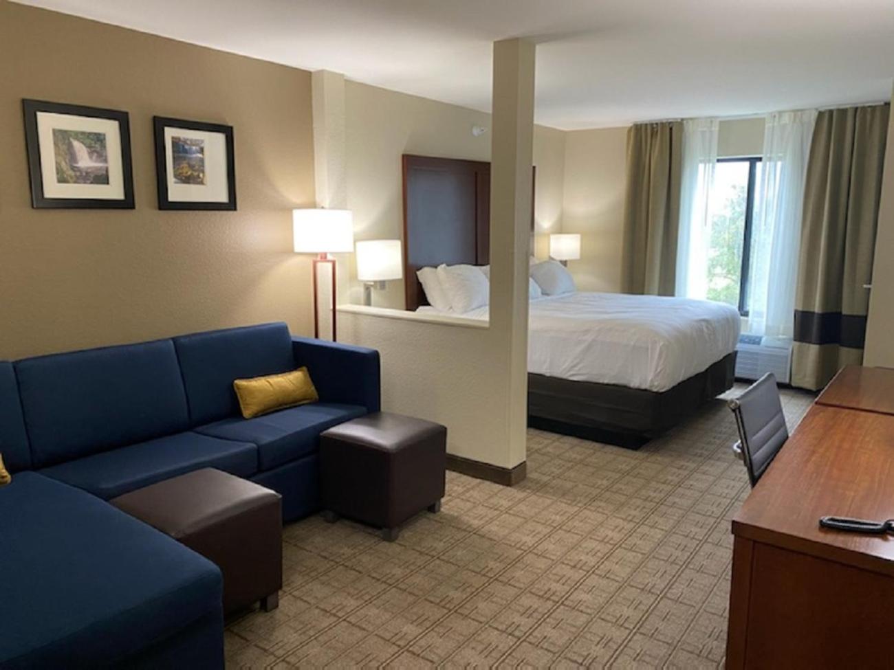 King Suite with Sofa Bed - Non Smoking - Photo 5
