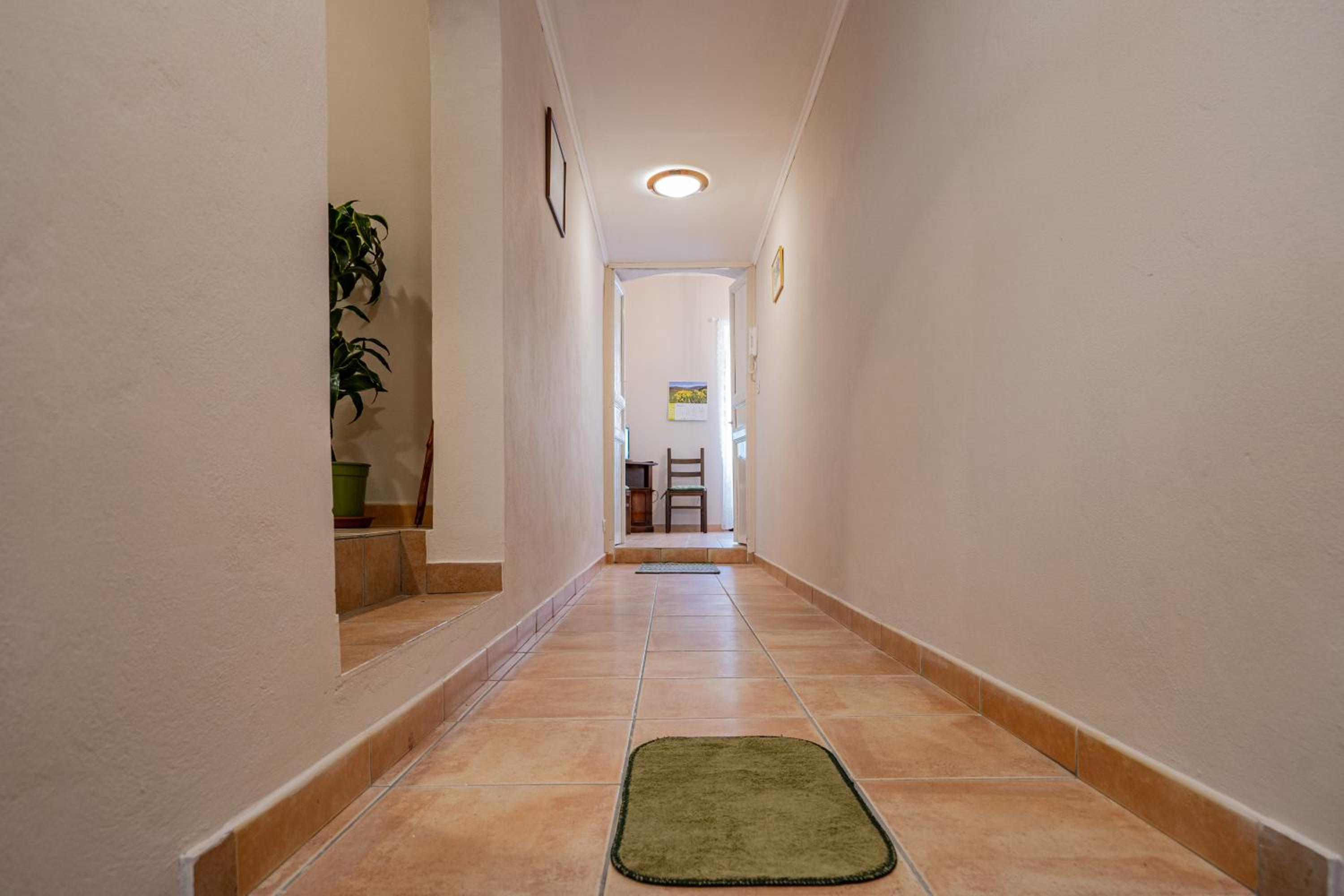 Duplex Apartment photo 2