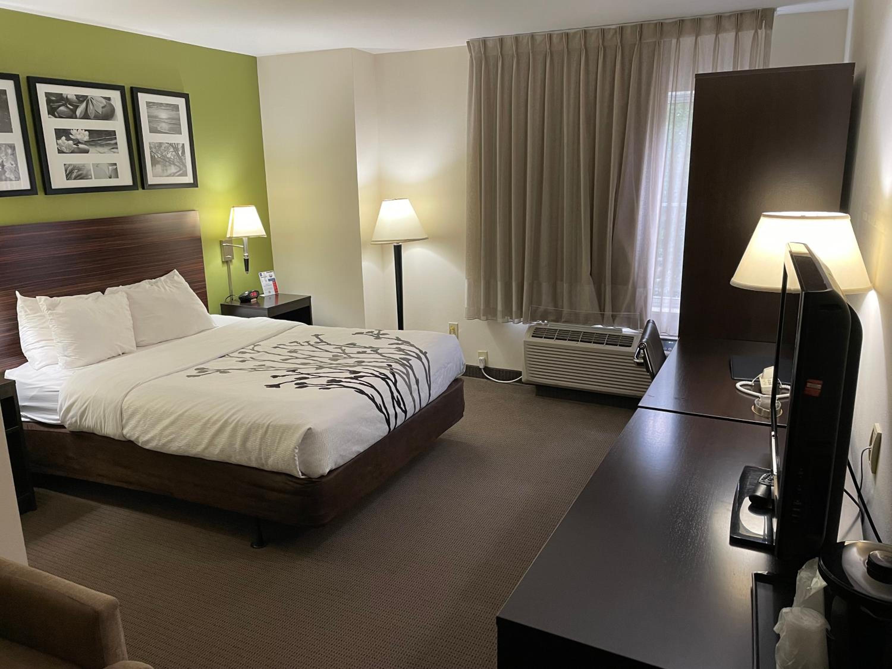 Queen Room - Disability Access/Non-Smoking - Photo 3