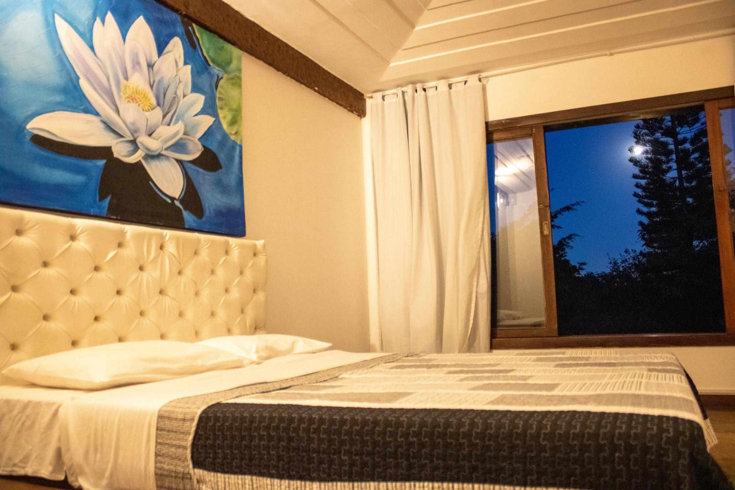 Superior with Garden View - Photo 1