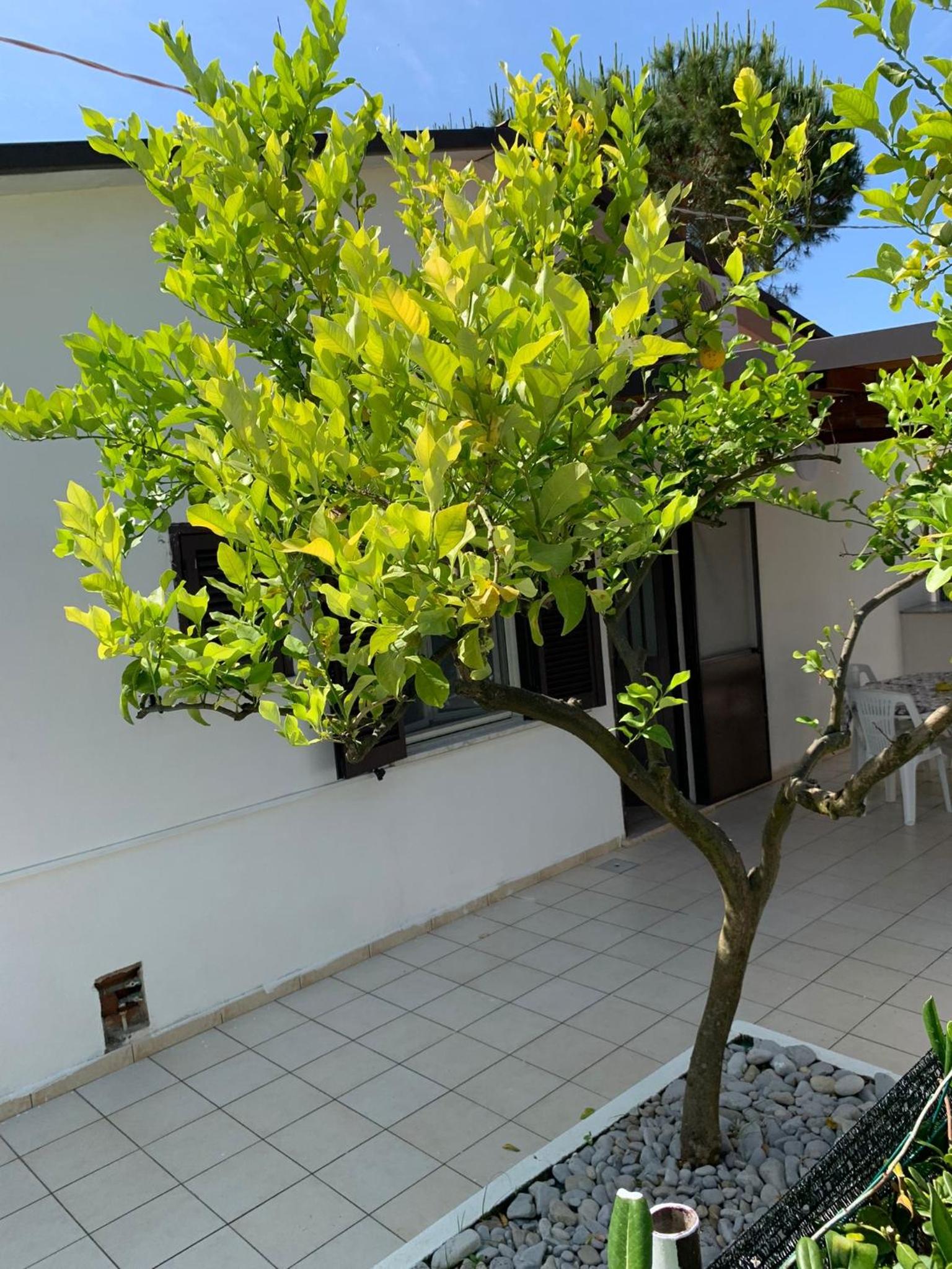 Apartment - Photo 17