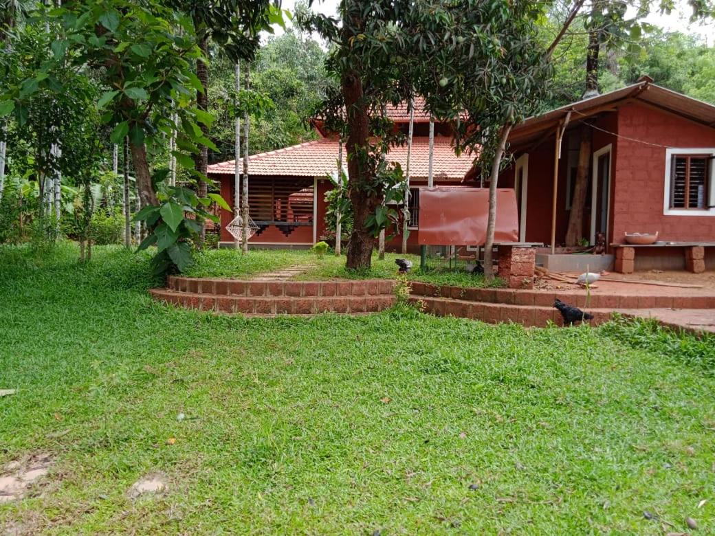 Superior Villa photo 2